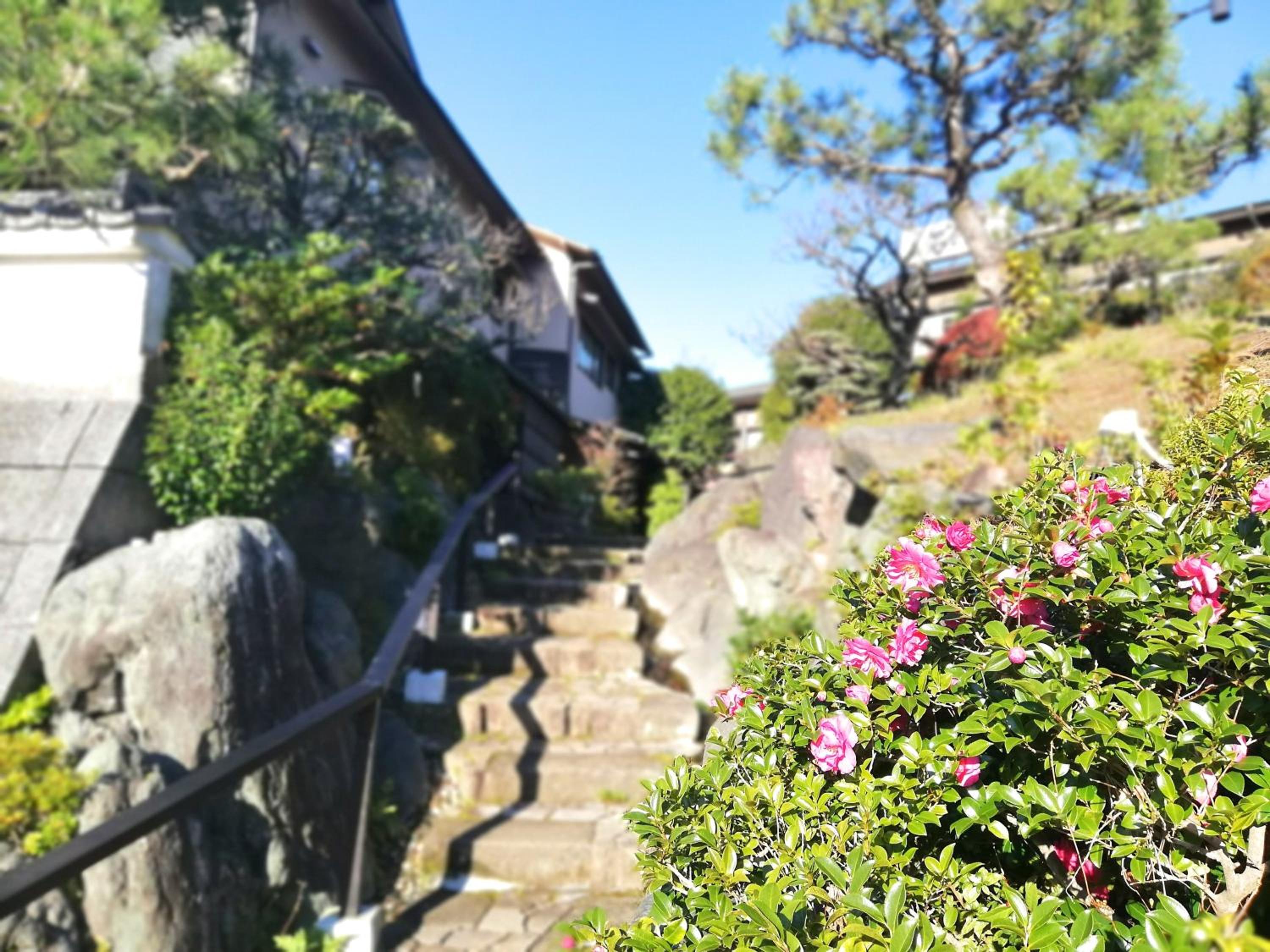 Ishinoya Izunagaoka - TKP Hotels & Resorts, photo 92