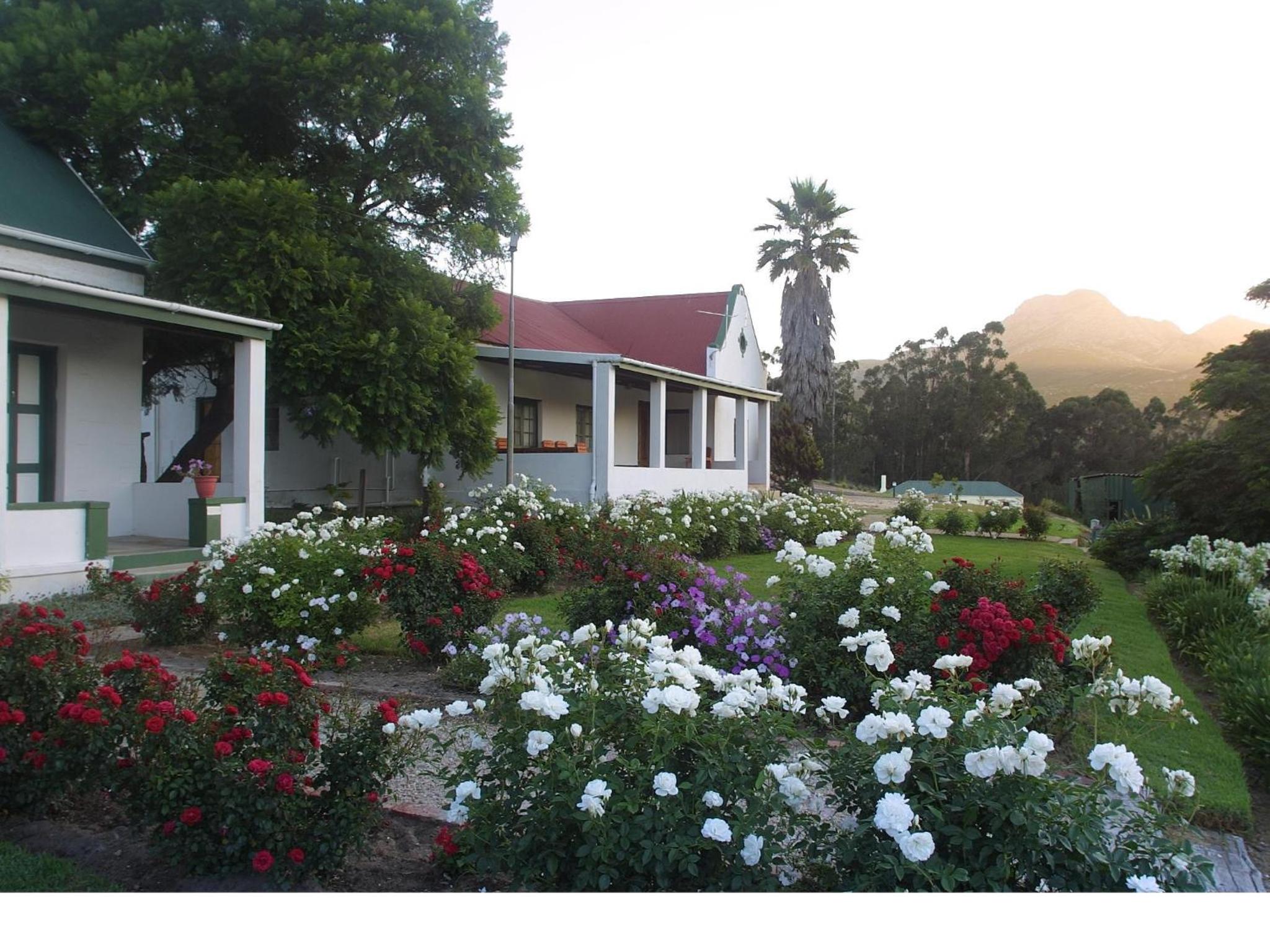 Over The Mountain Guest Farm