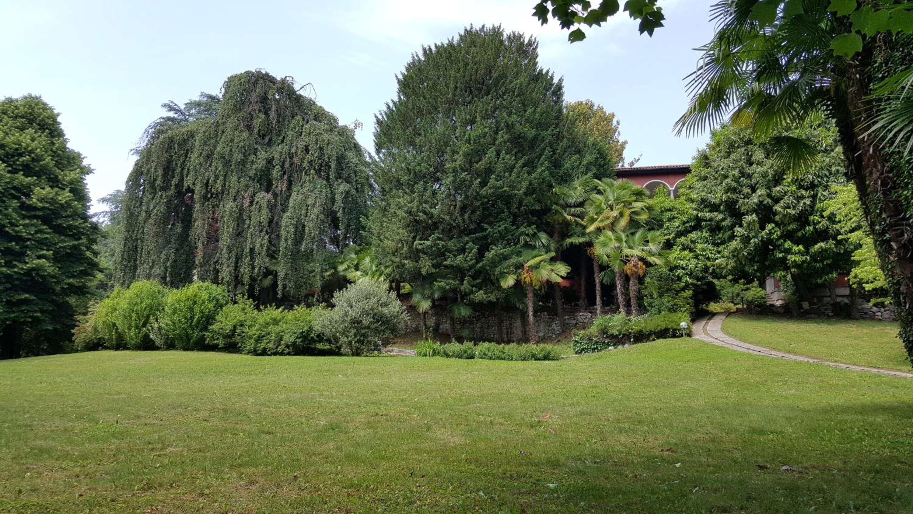 Villa Magnolia Lago Maggiore view 4