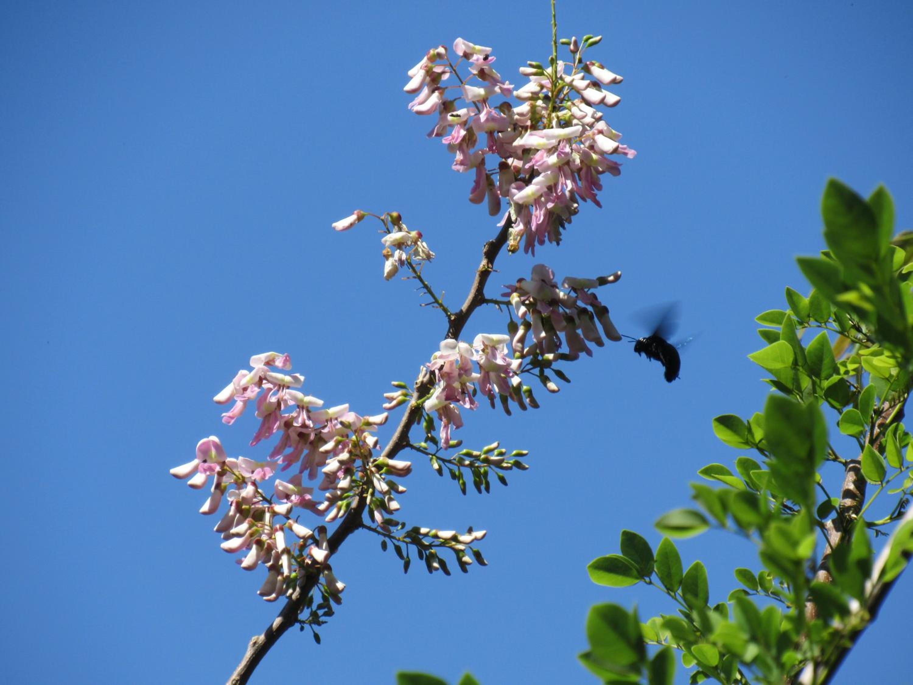 Photo 26