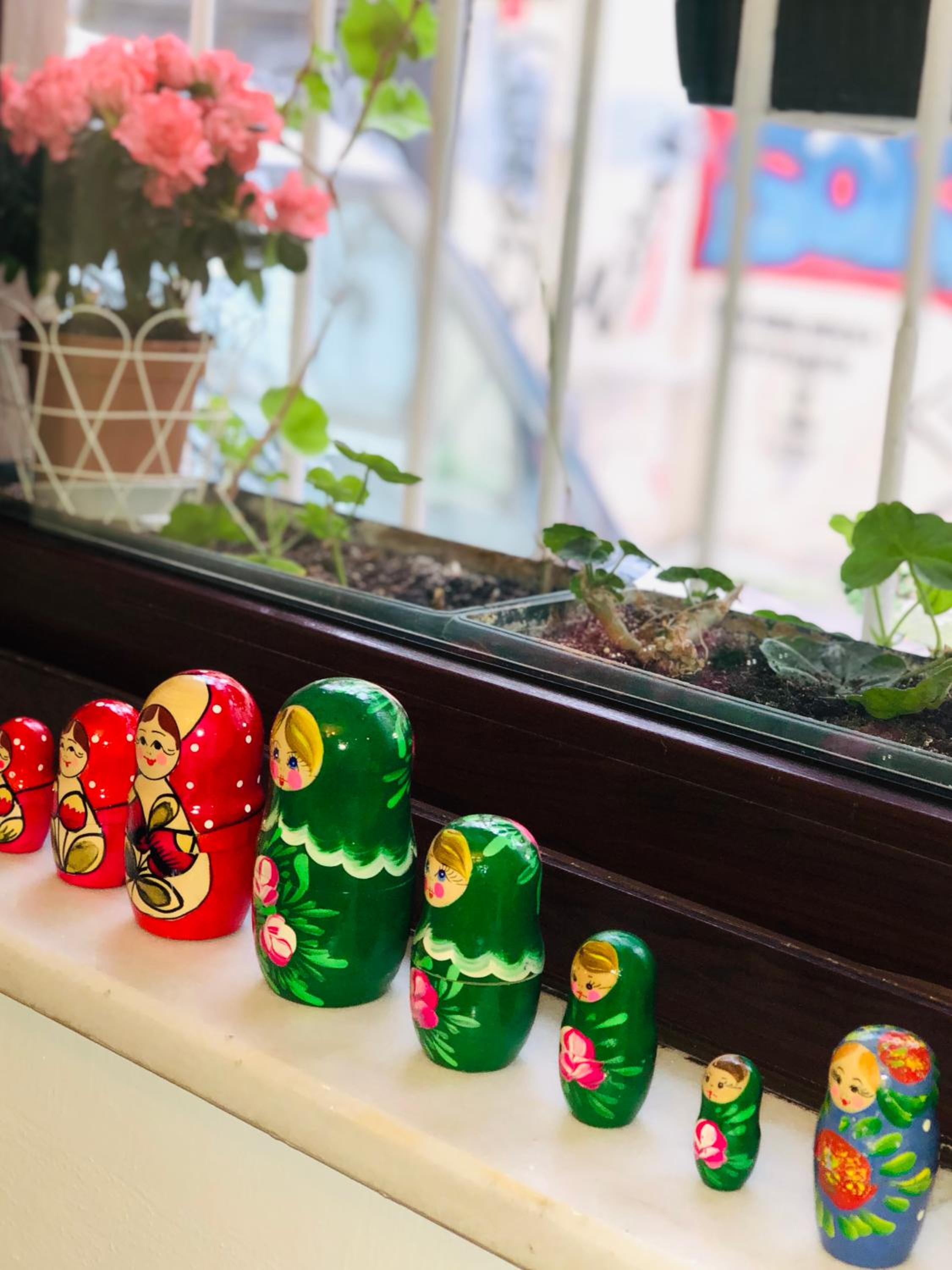 Tulpan Evi - Image 38