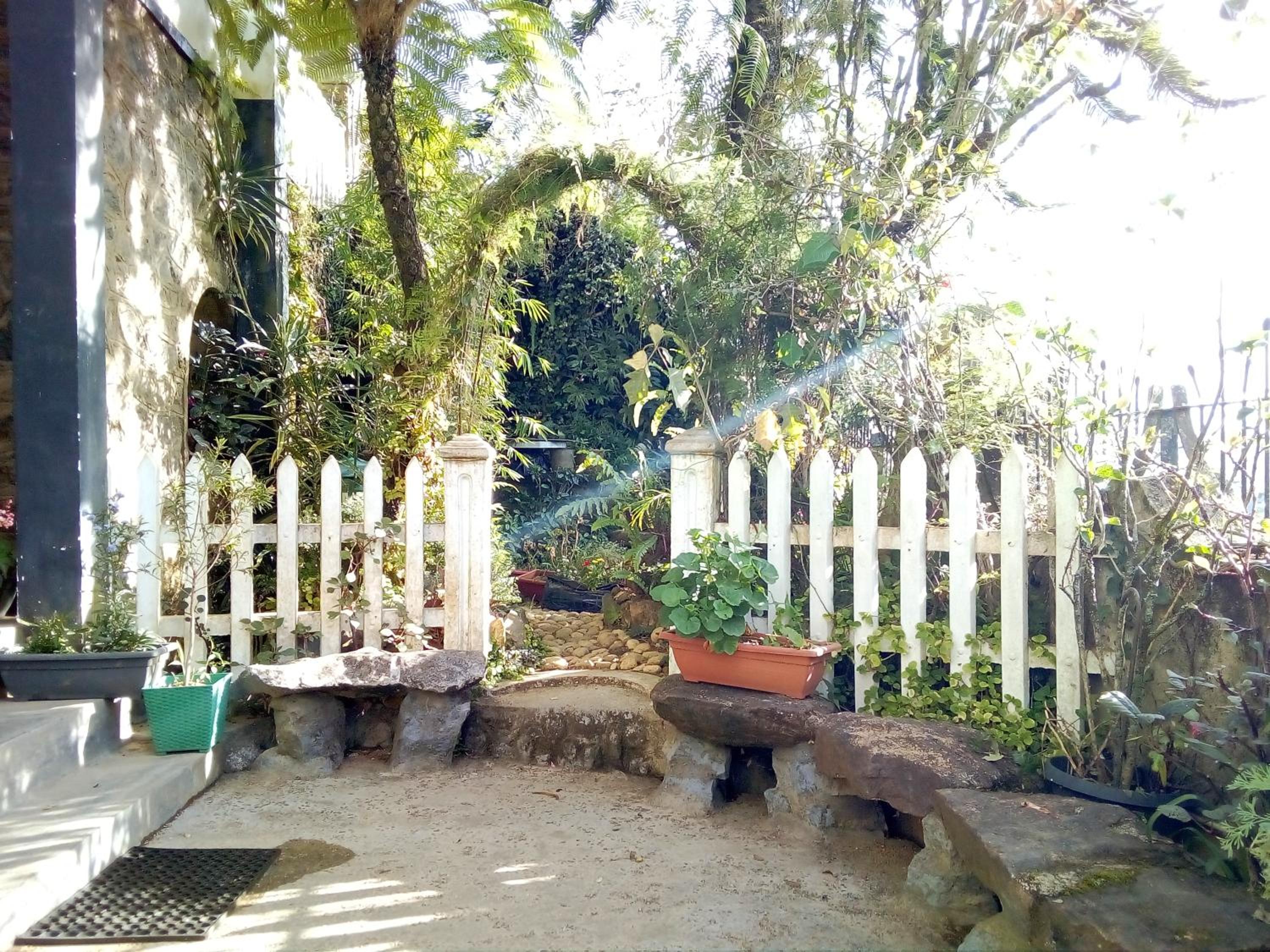 Photo 18