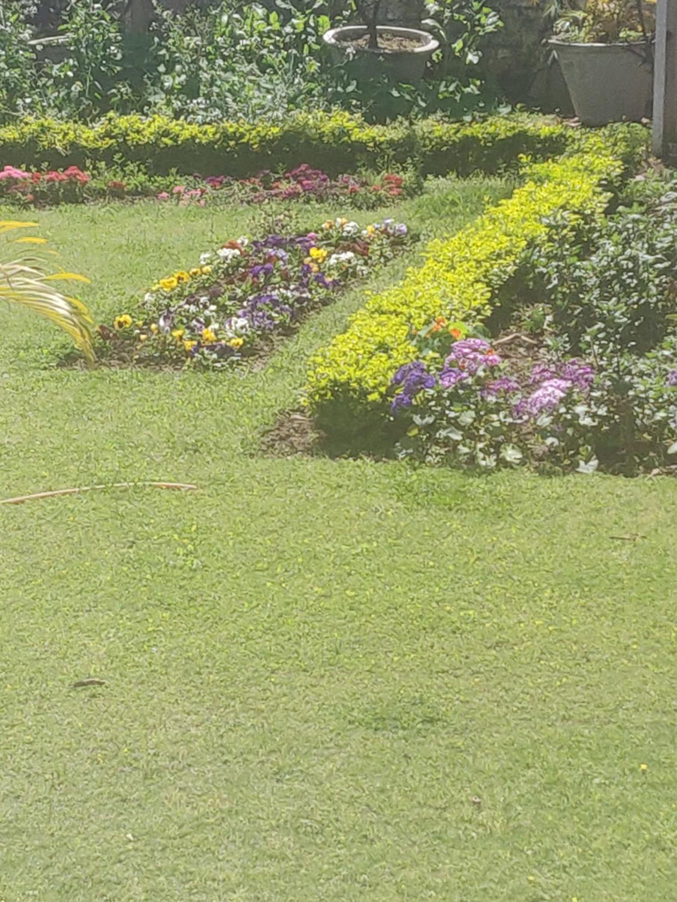 Heritage Homestay view 4