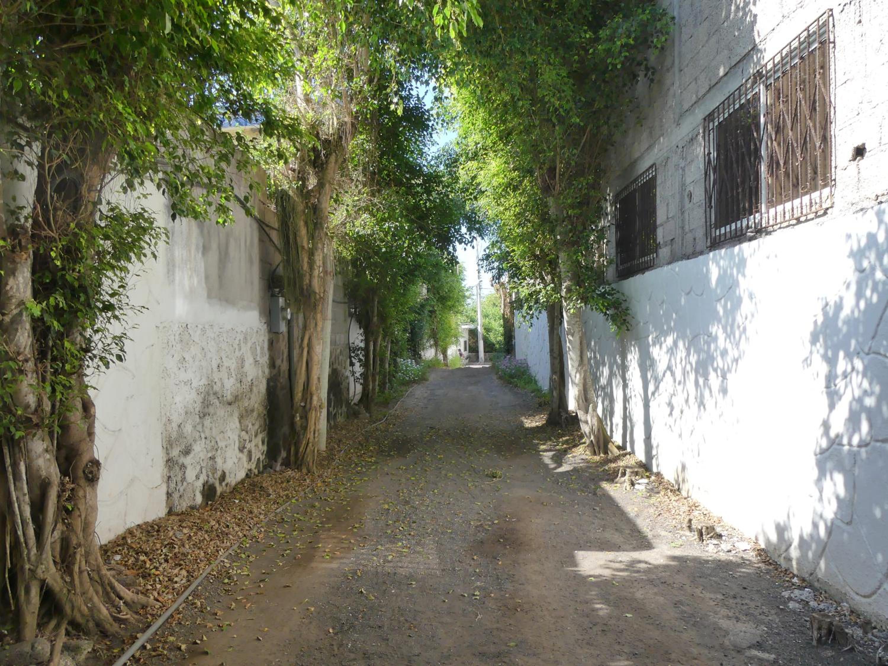 Photo 22