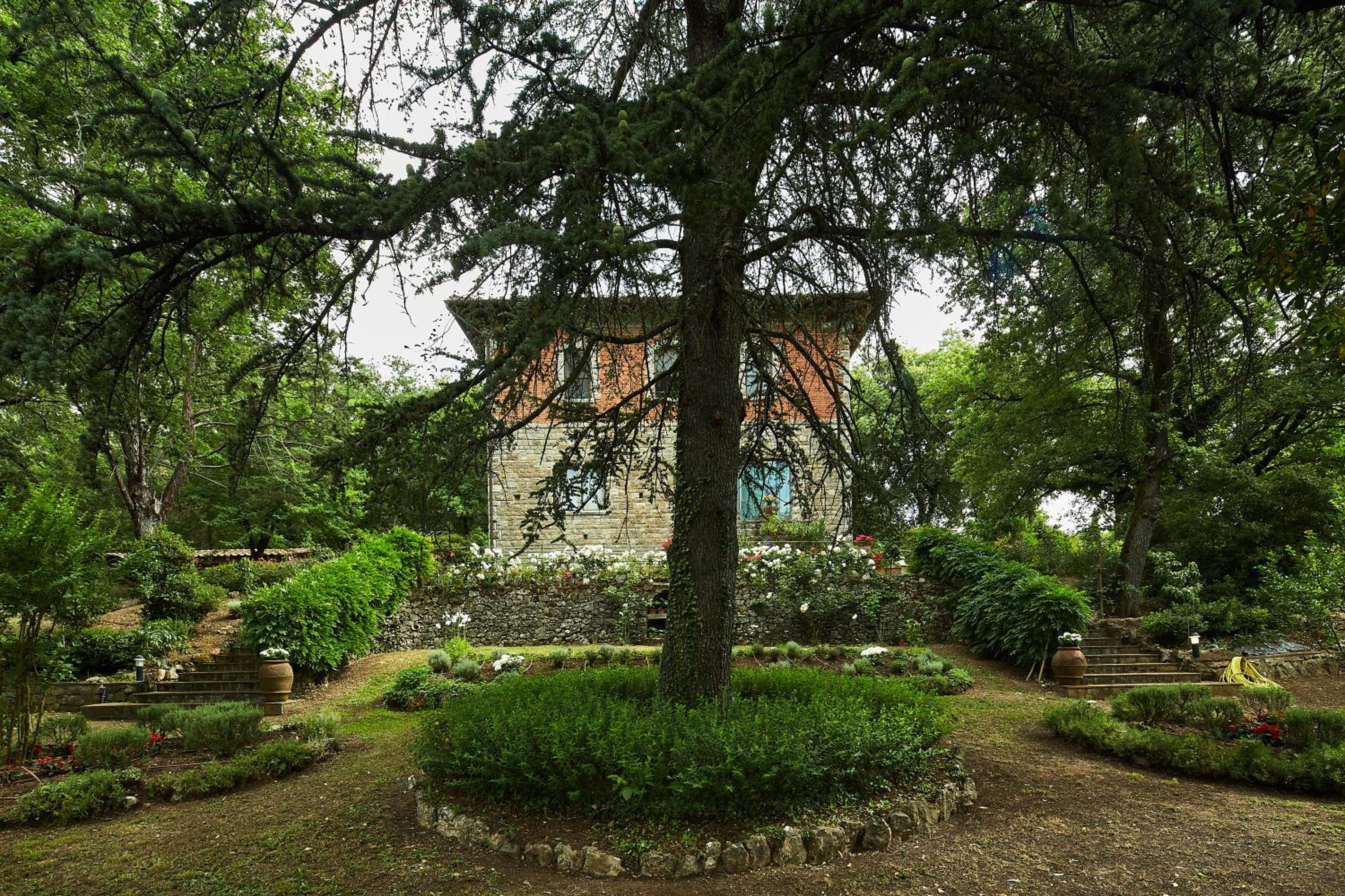 Photo 14