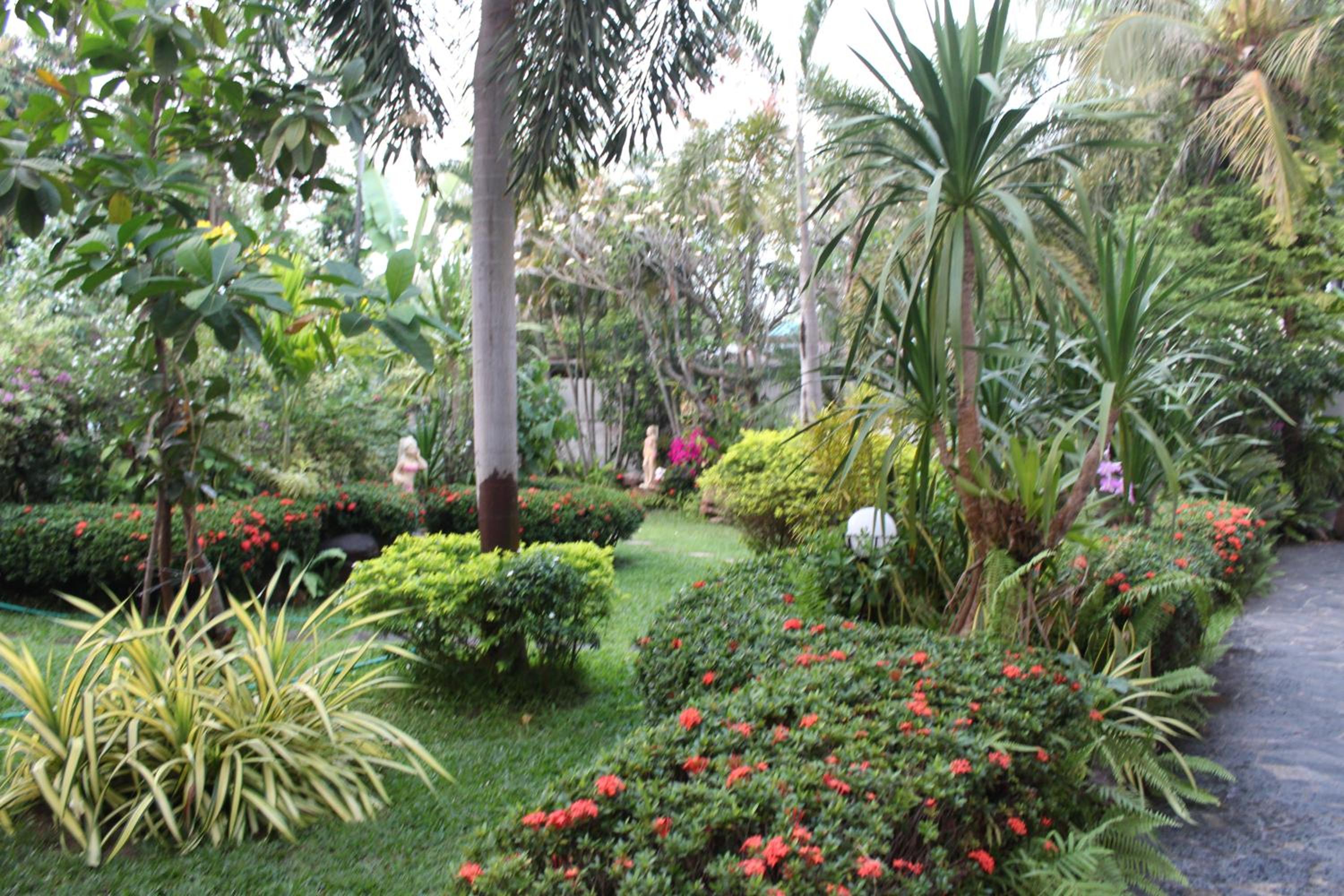 White Elephant Resort