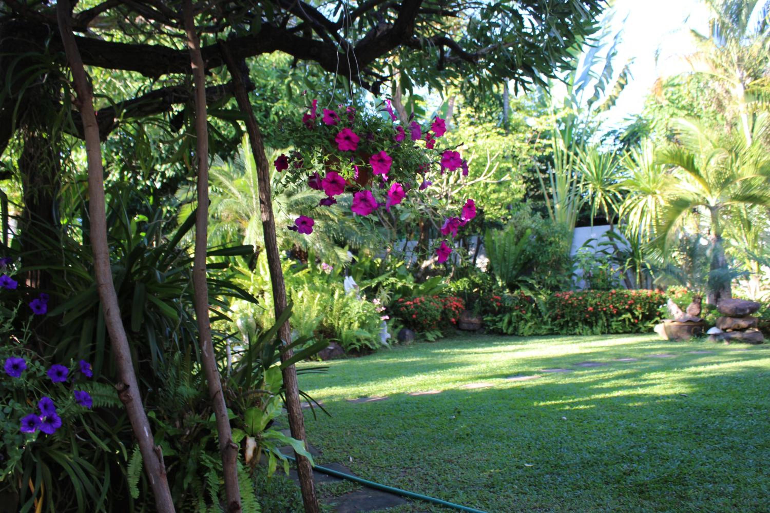 White Elephant Resort