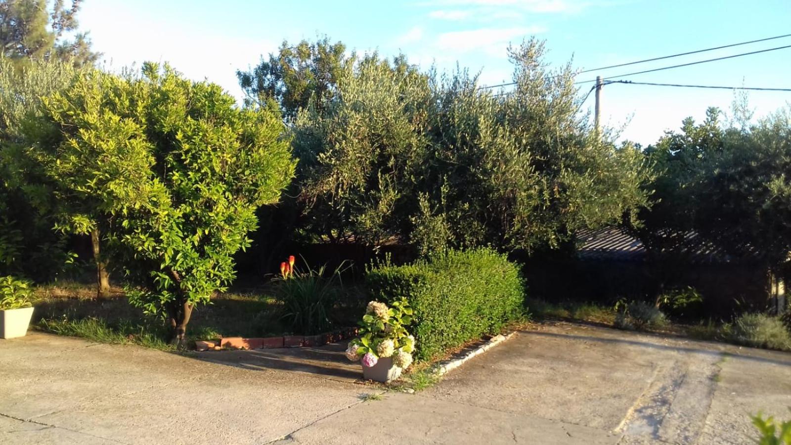 Photo 24