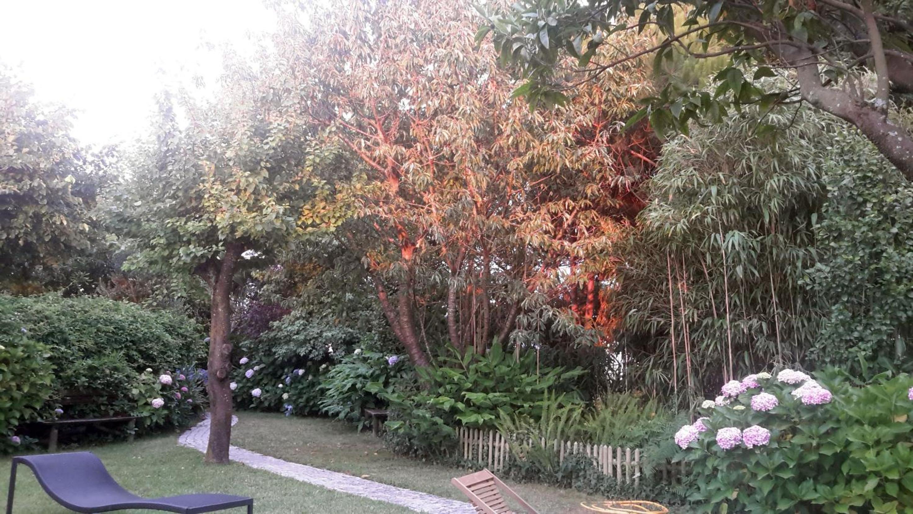 Photo 31