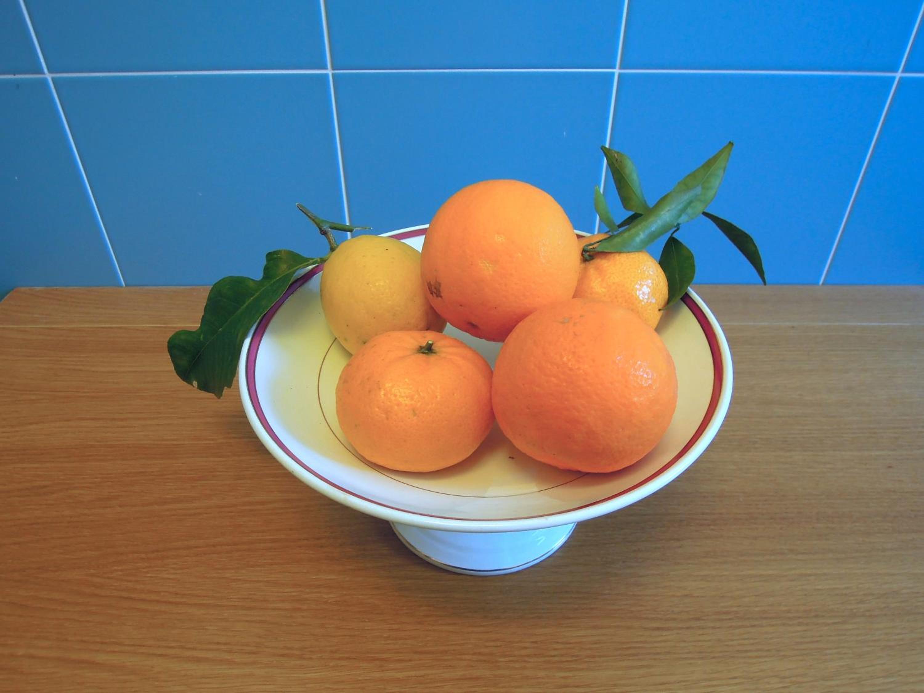 Photo 24