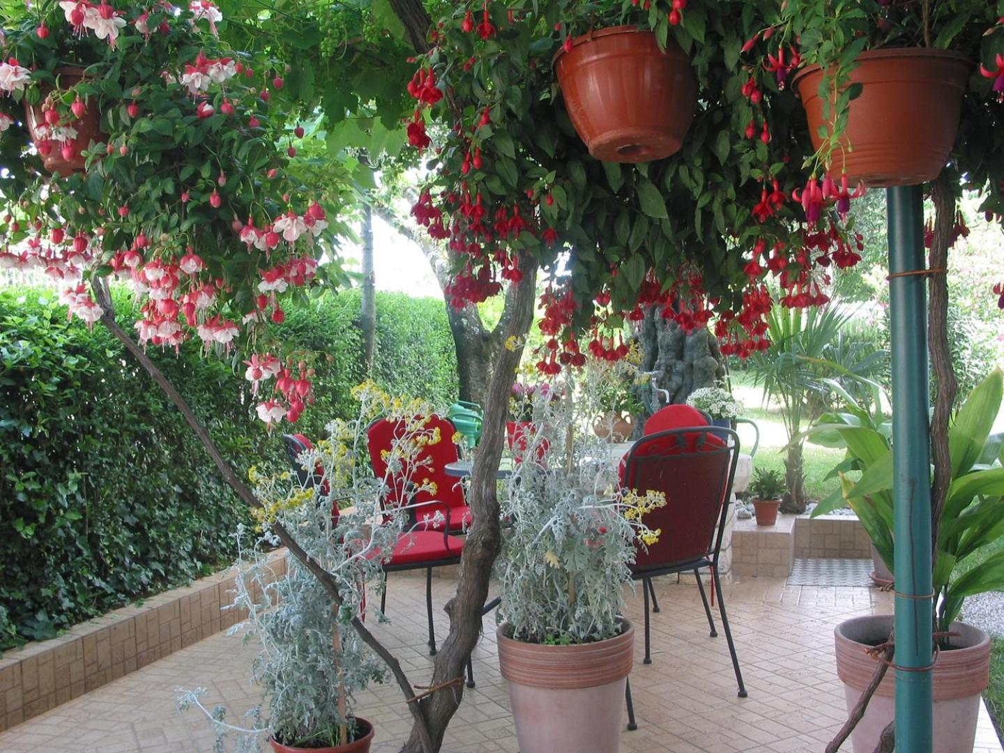 Photo 22