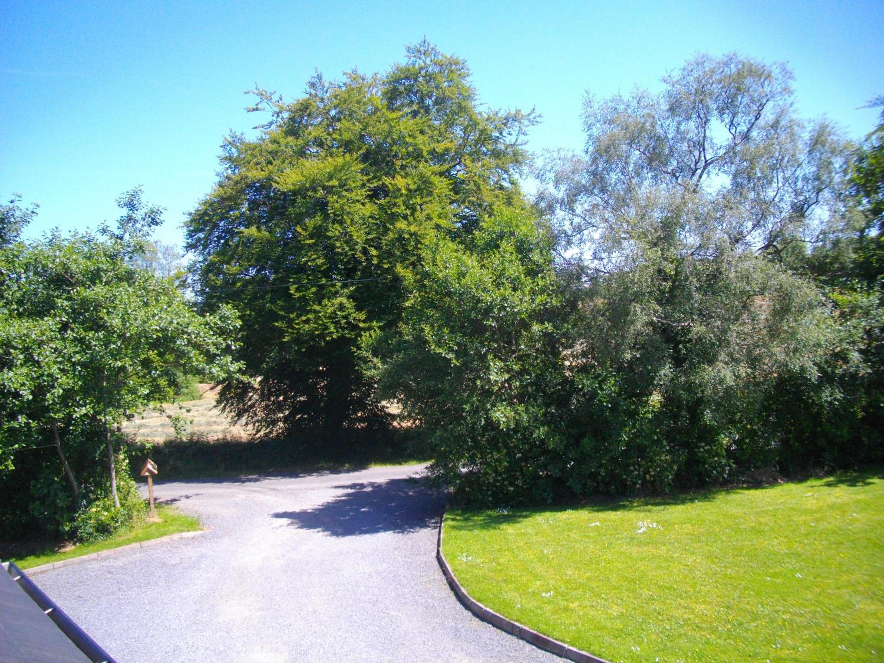 Photo 20