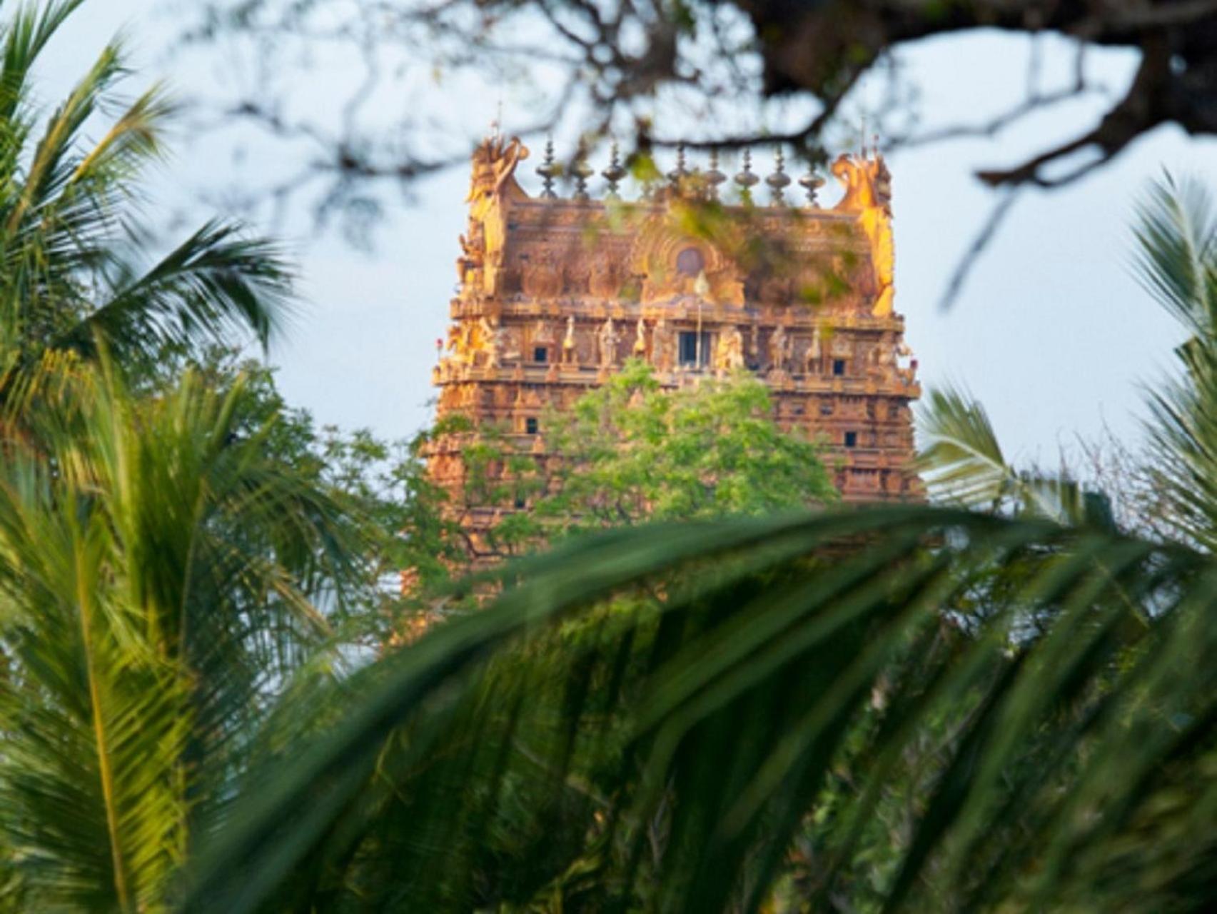 Jaffna Heritage Villa