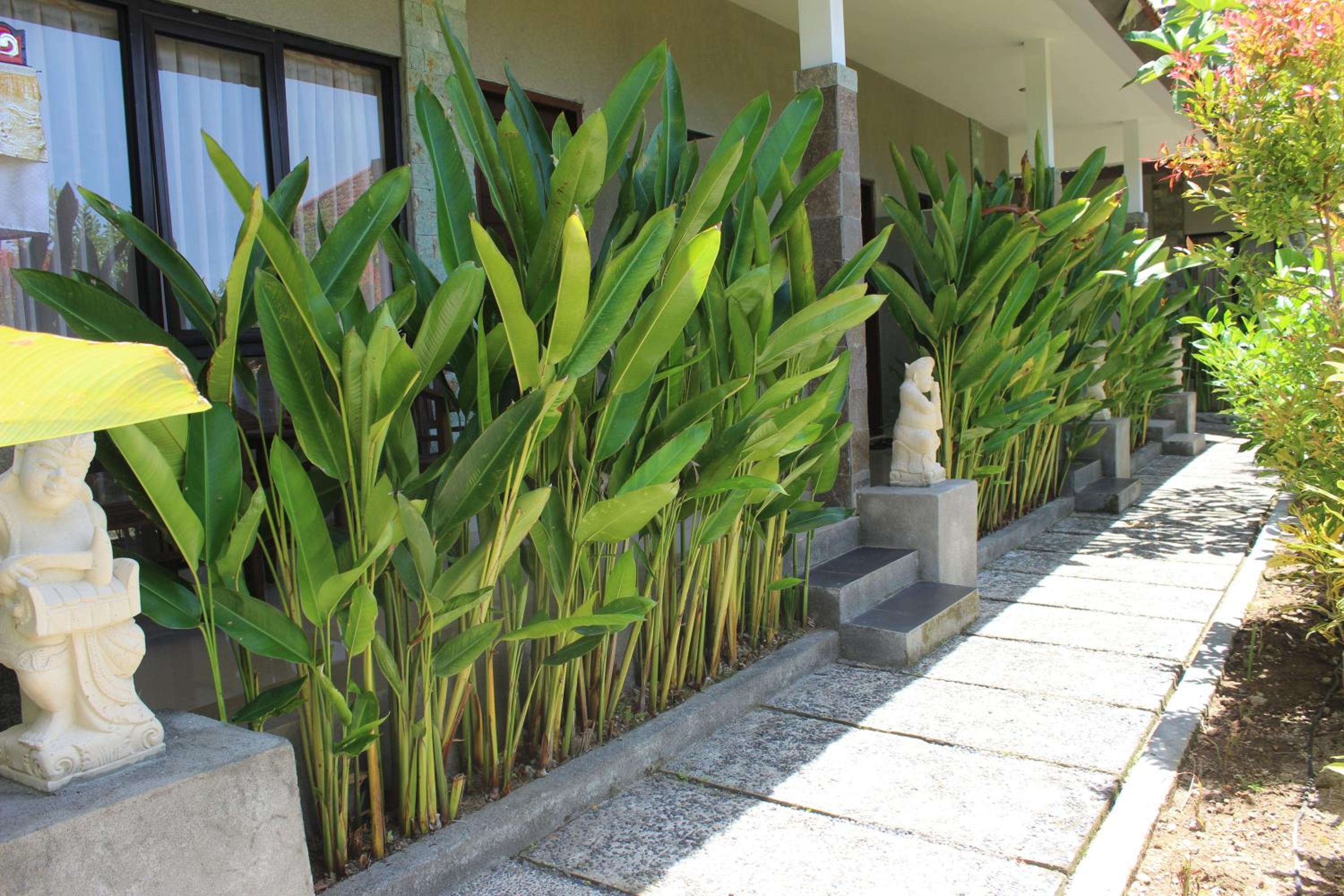 Paranyogan Homestay view 2