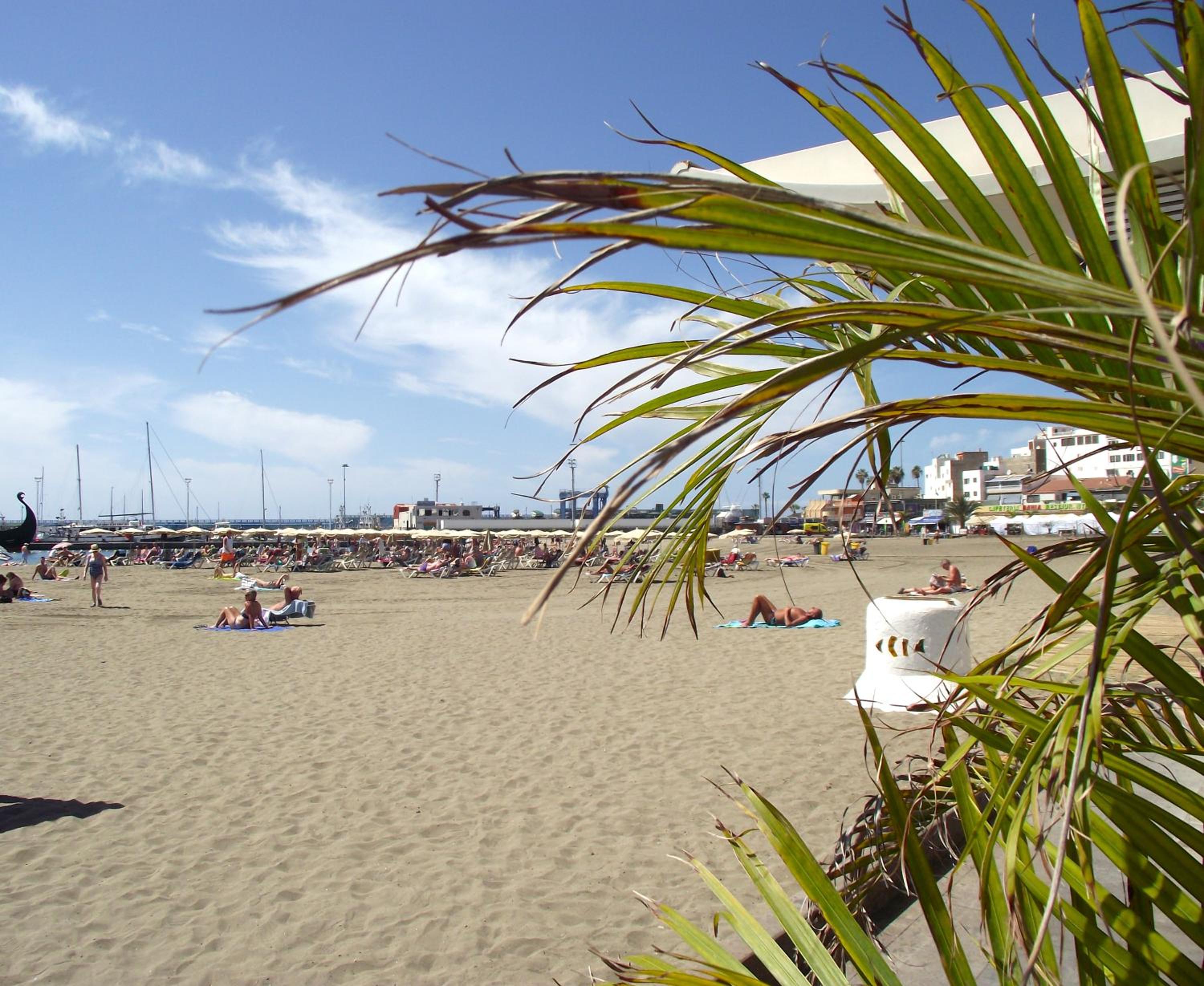 Photo 41