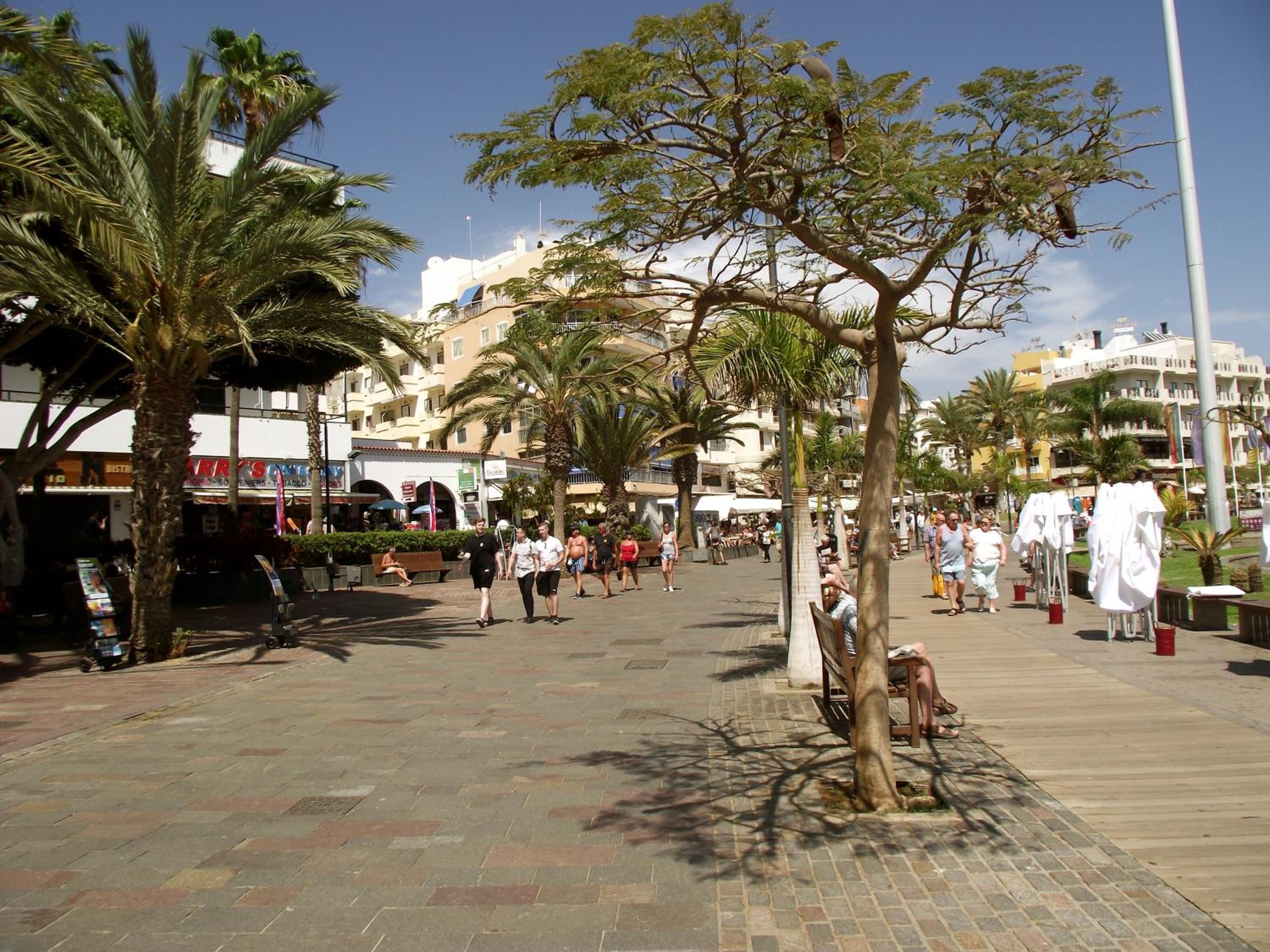 Photo 42