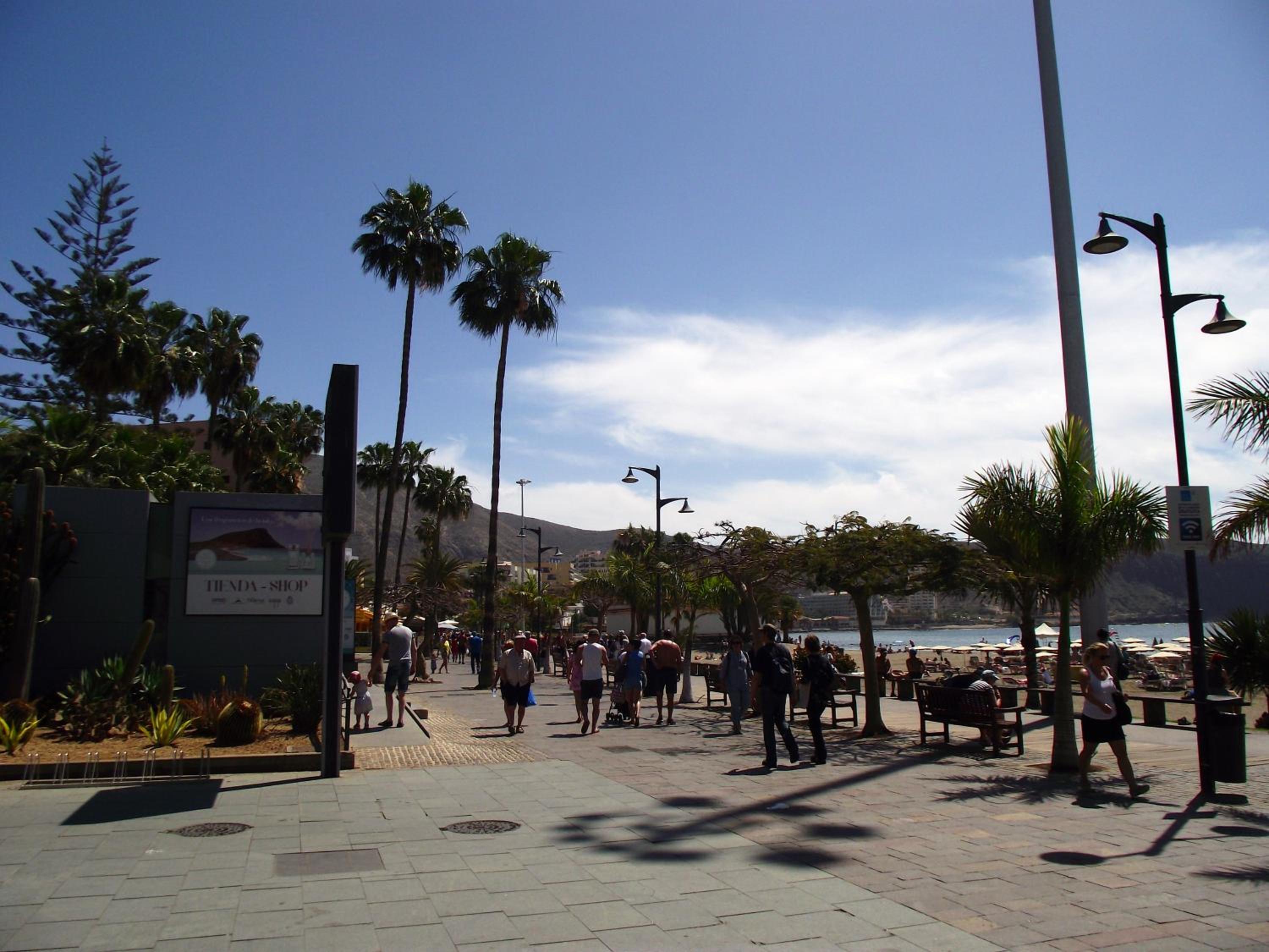 Photo 45