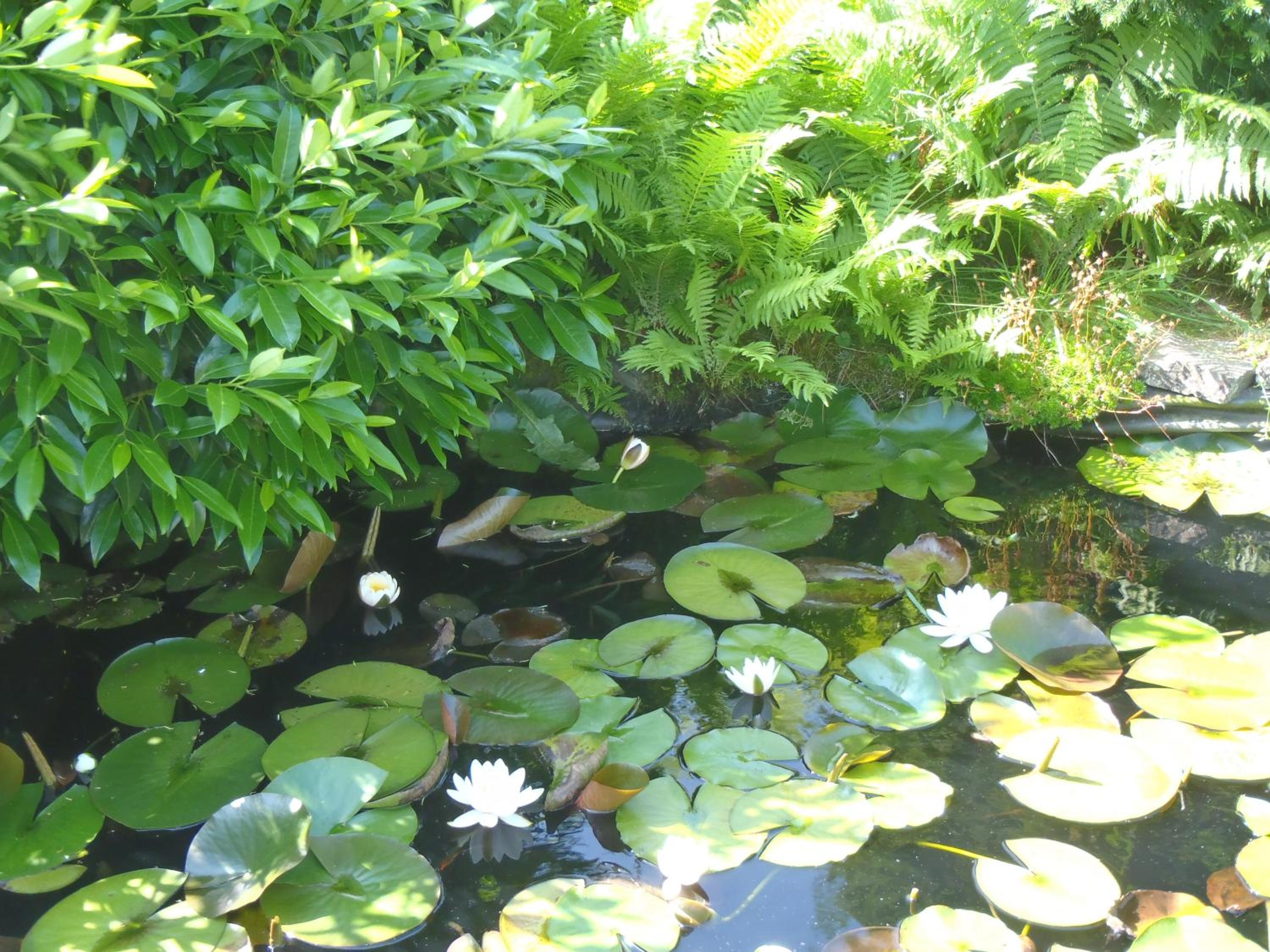 Photo 74