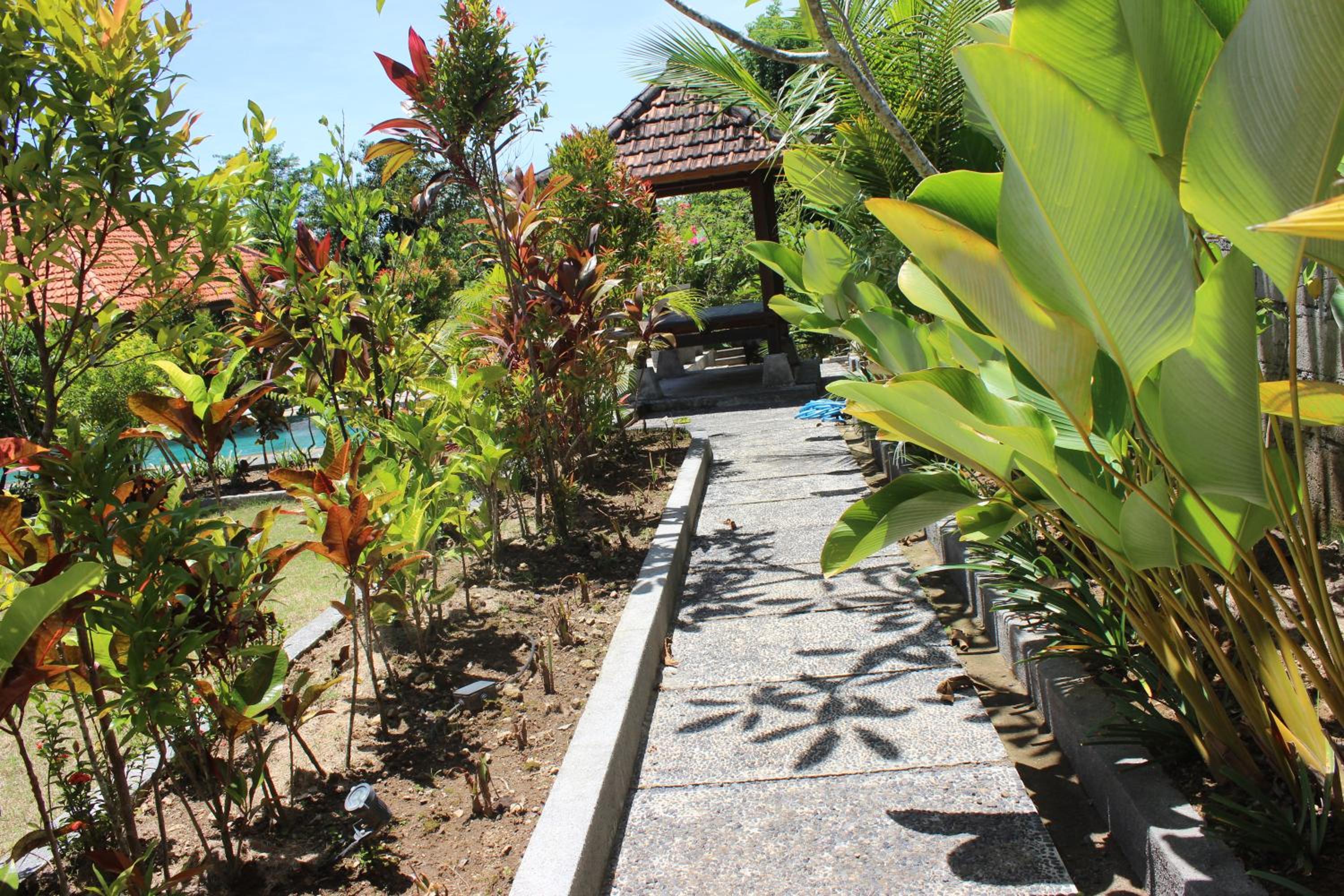 Paranyogan Homestay view 3