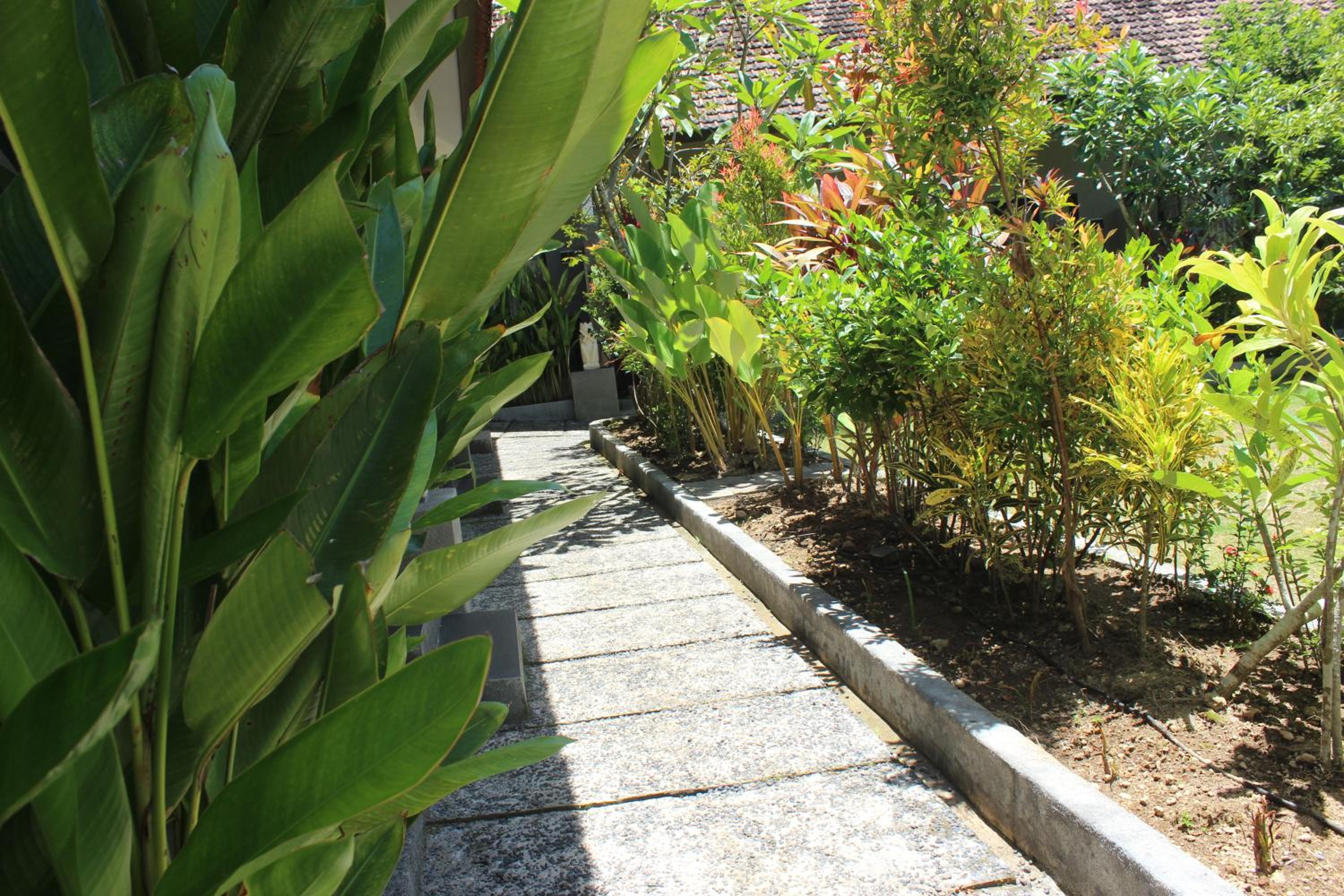 Photo 48