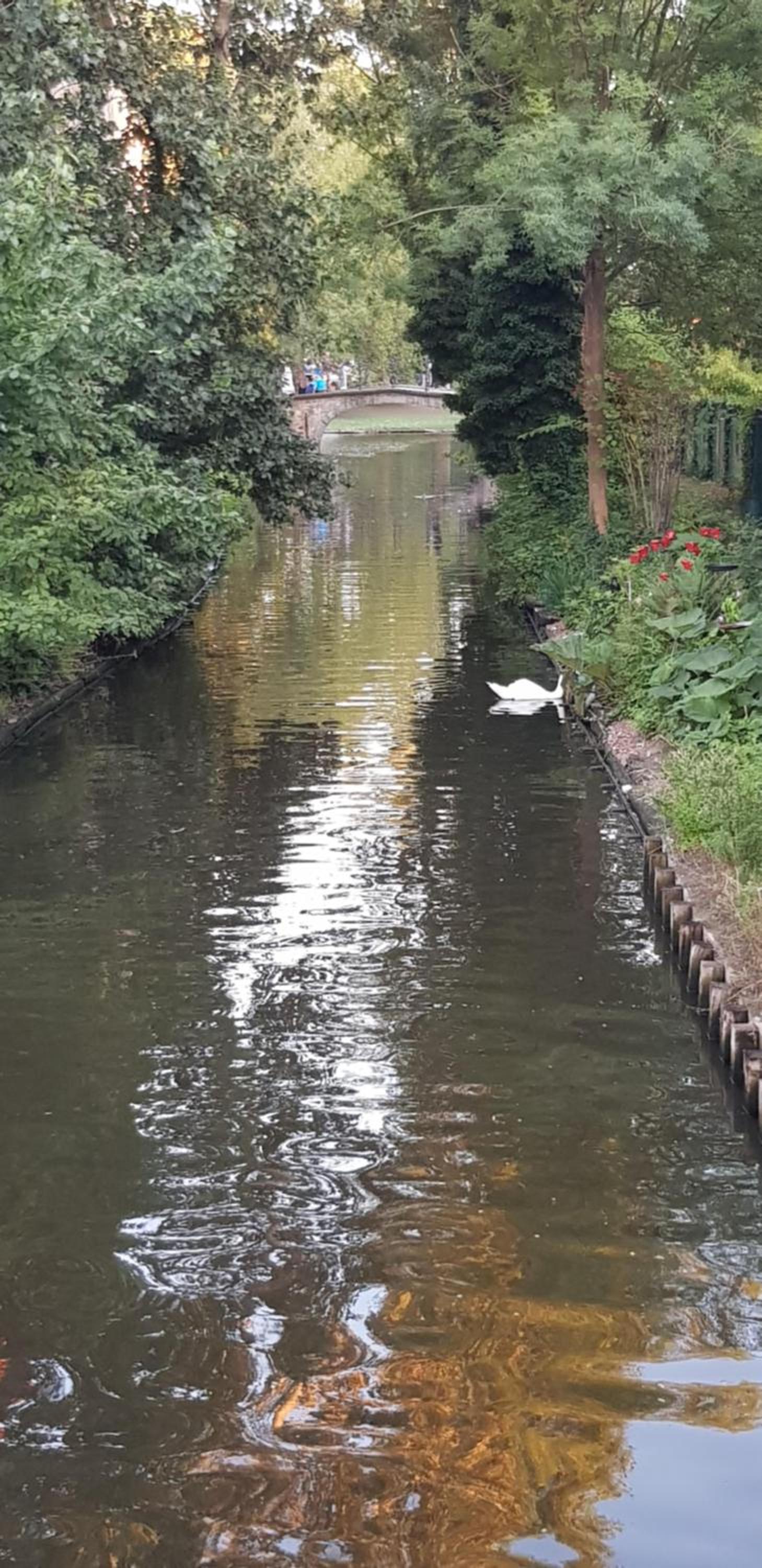 B&B Heart Of Bruges