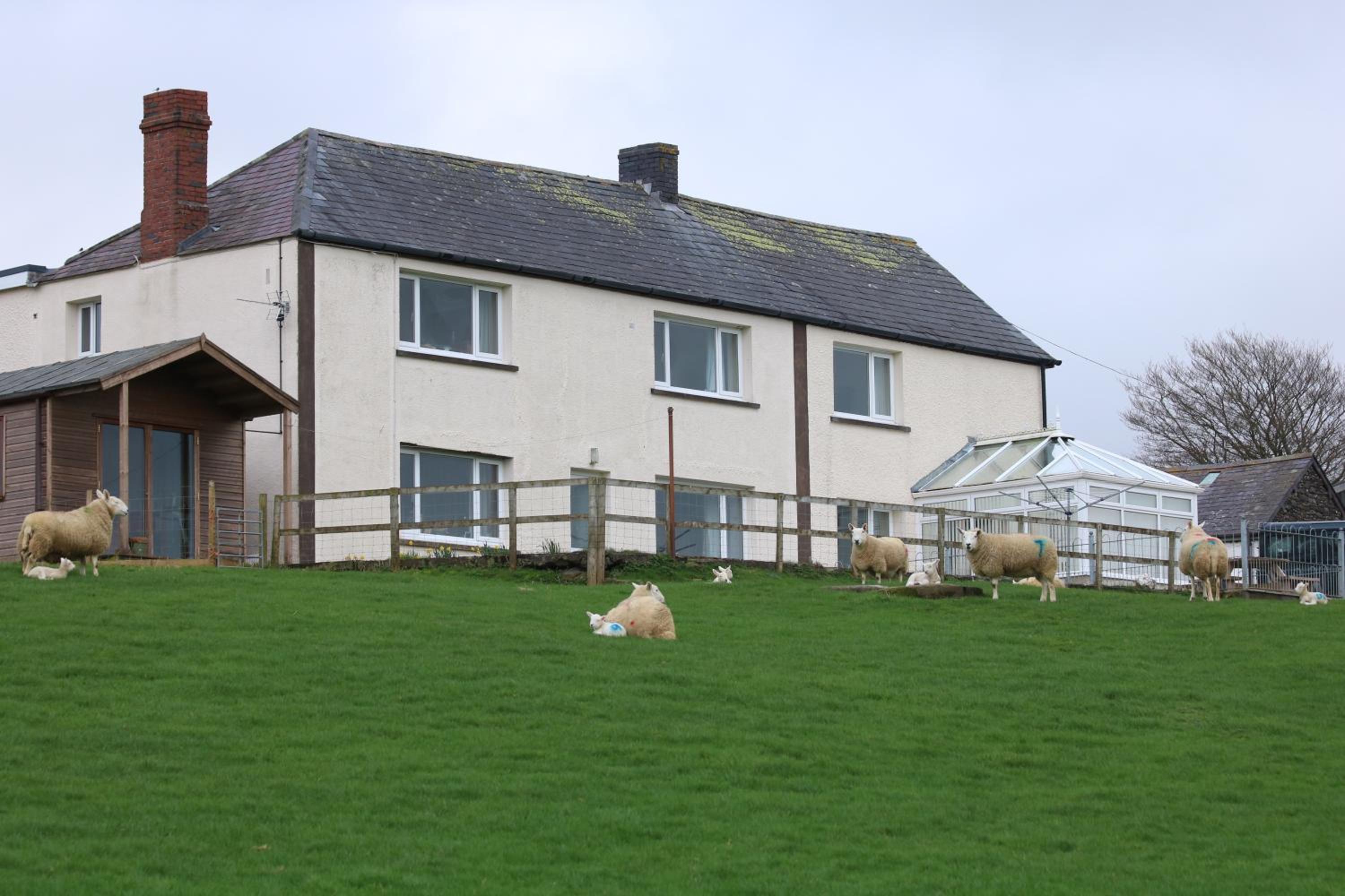 Cob Cottage view 5