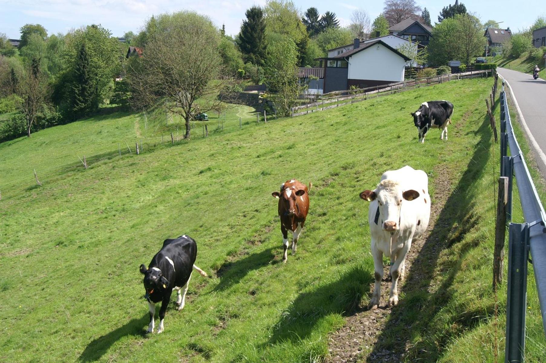Pension Oberberg en Lindlar