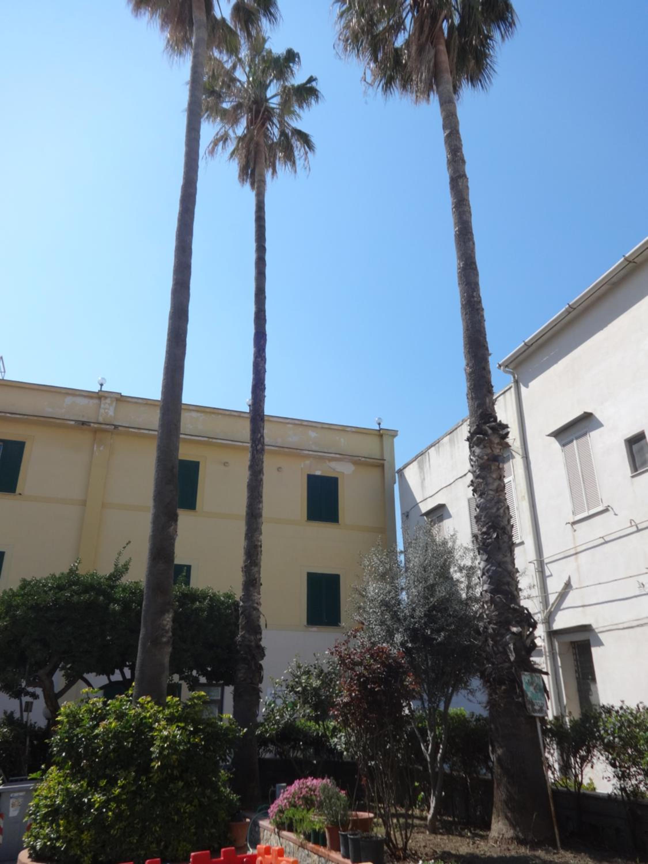 Villa Pacis