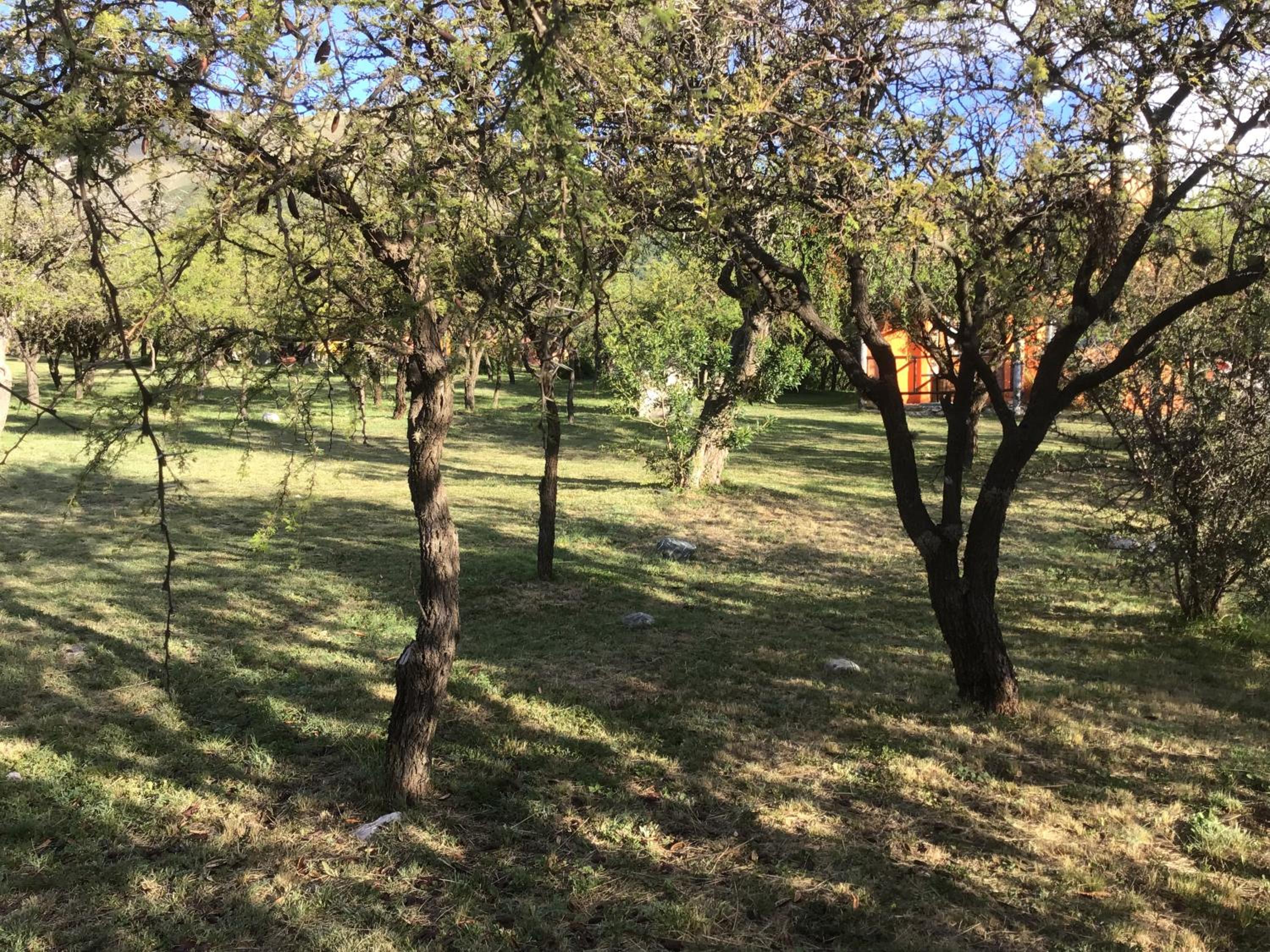 Cabañas Chacras del Arroyo Vidal