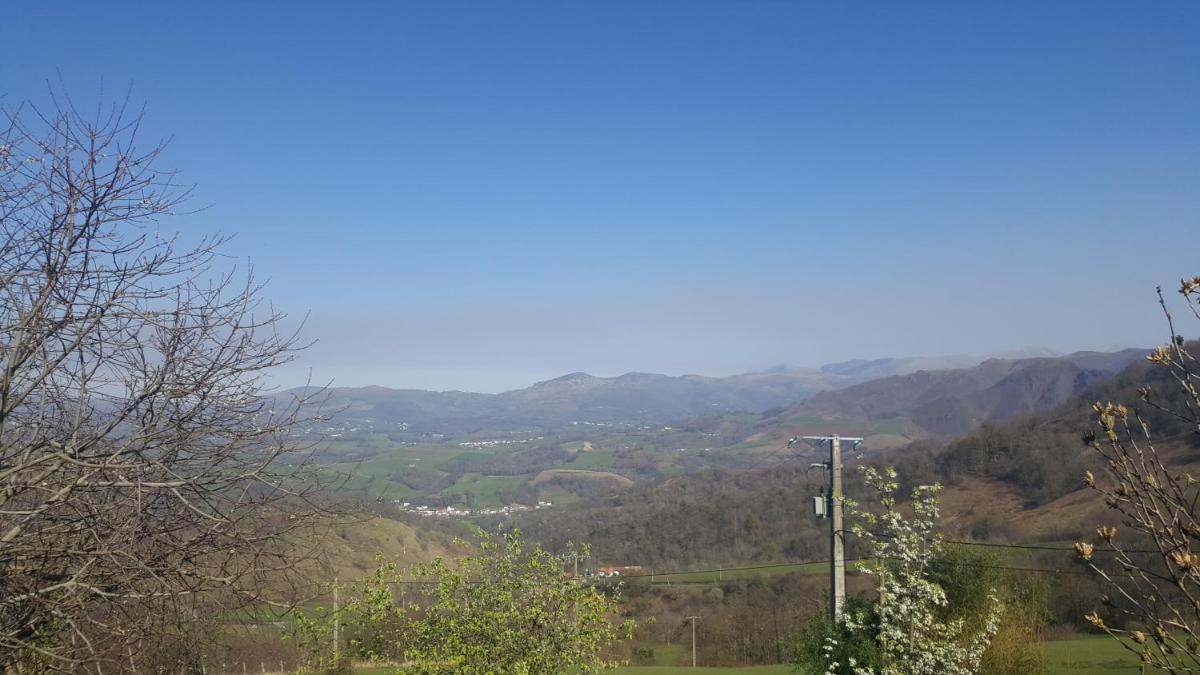 Photo 25
