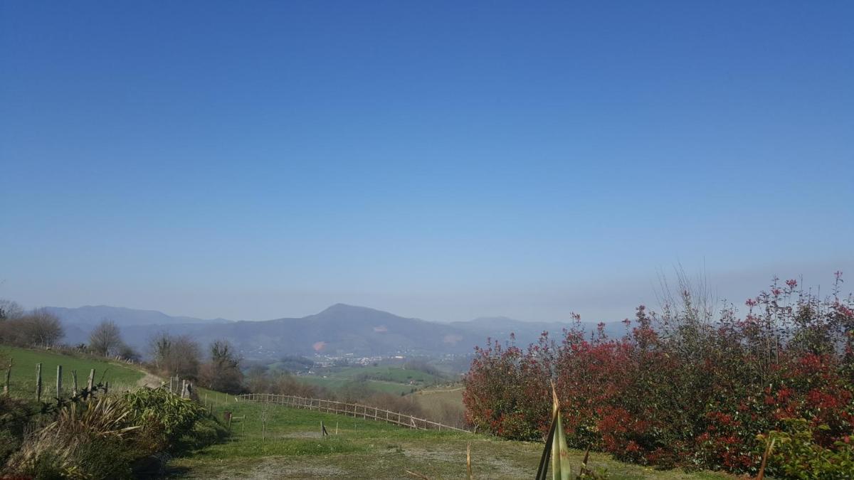 Photo 26