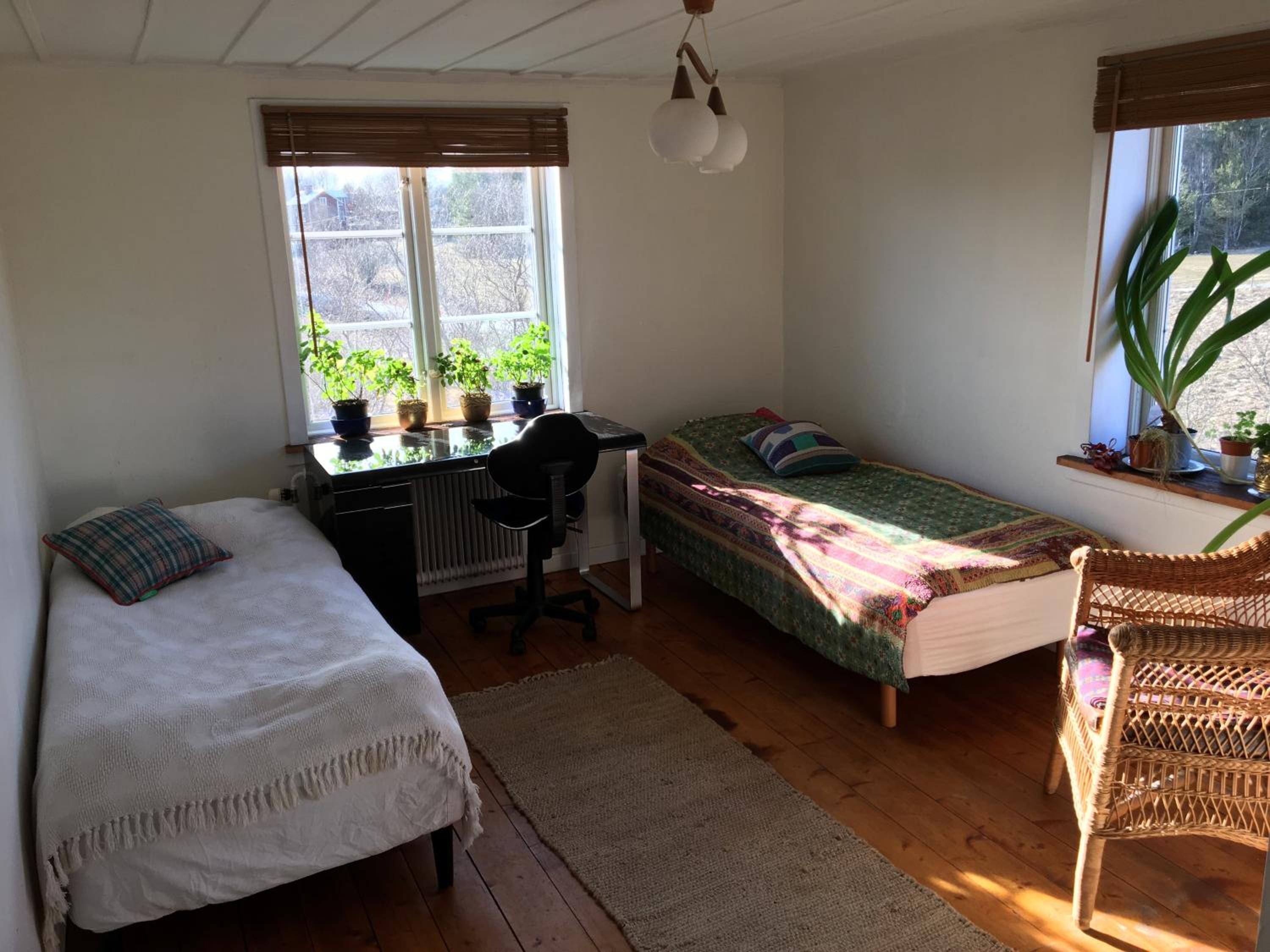 Photo 46