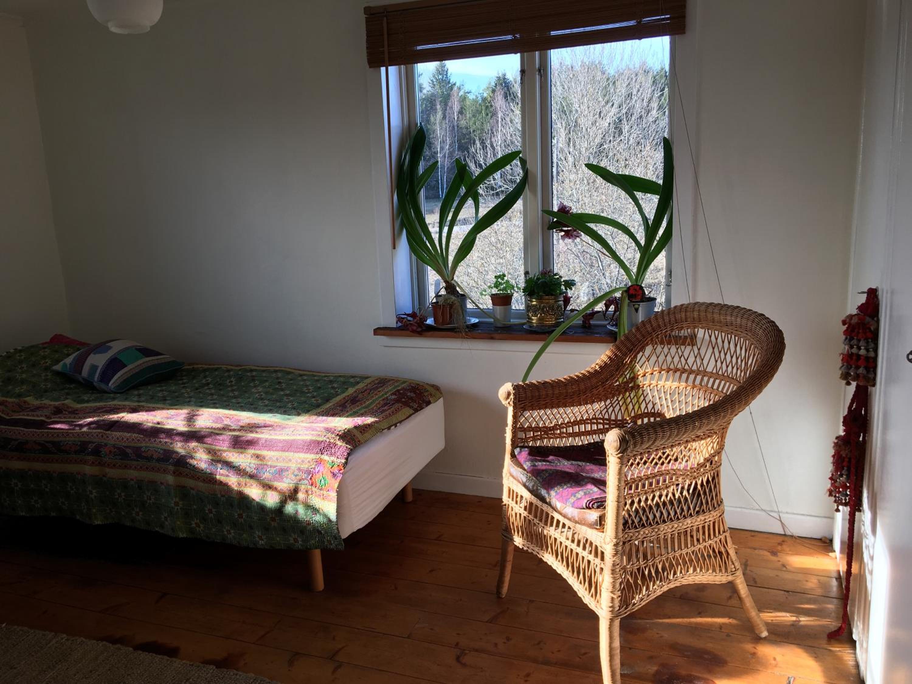 Photo 43