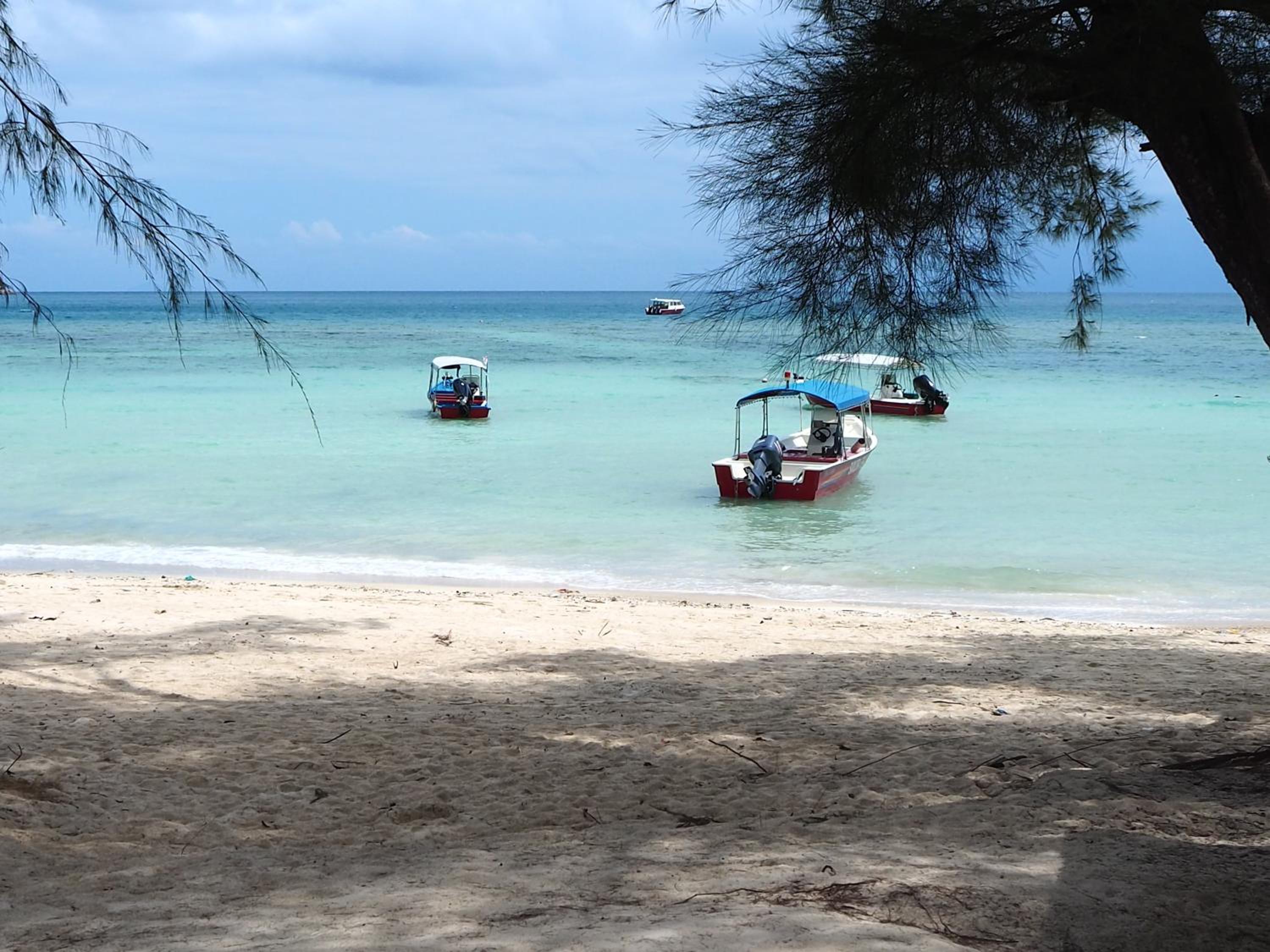 Samudra Beach Chalet photo 3