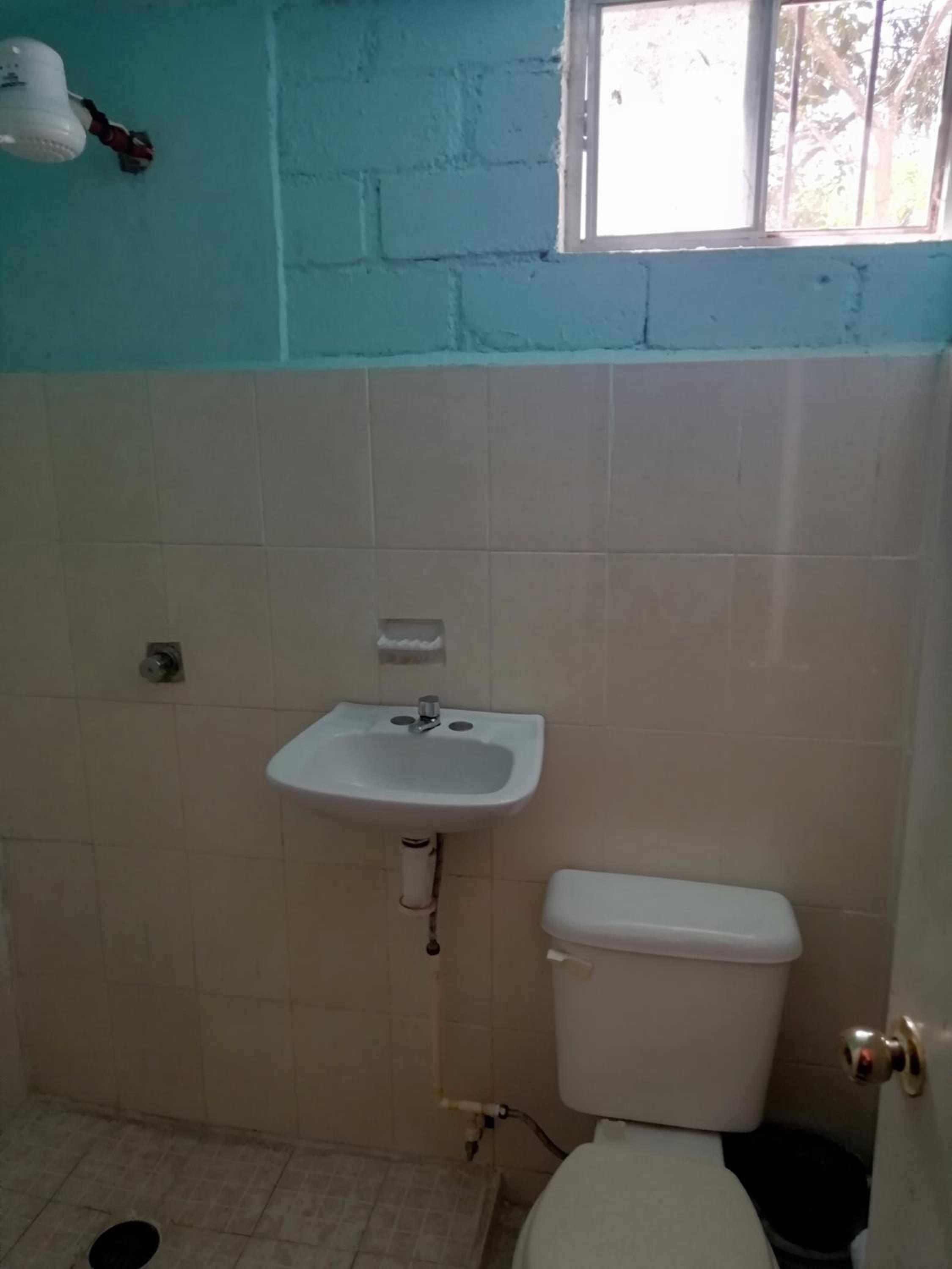 Photo 26