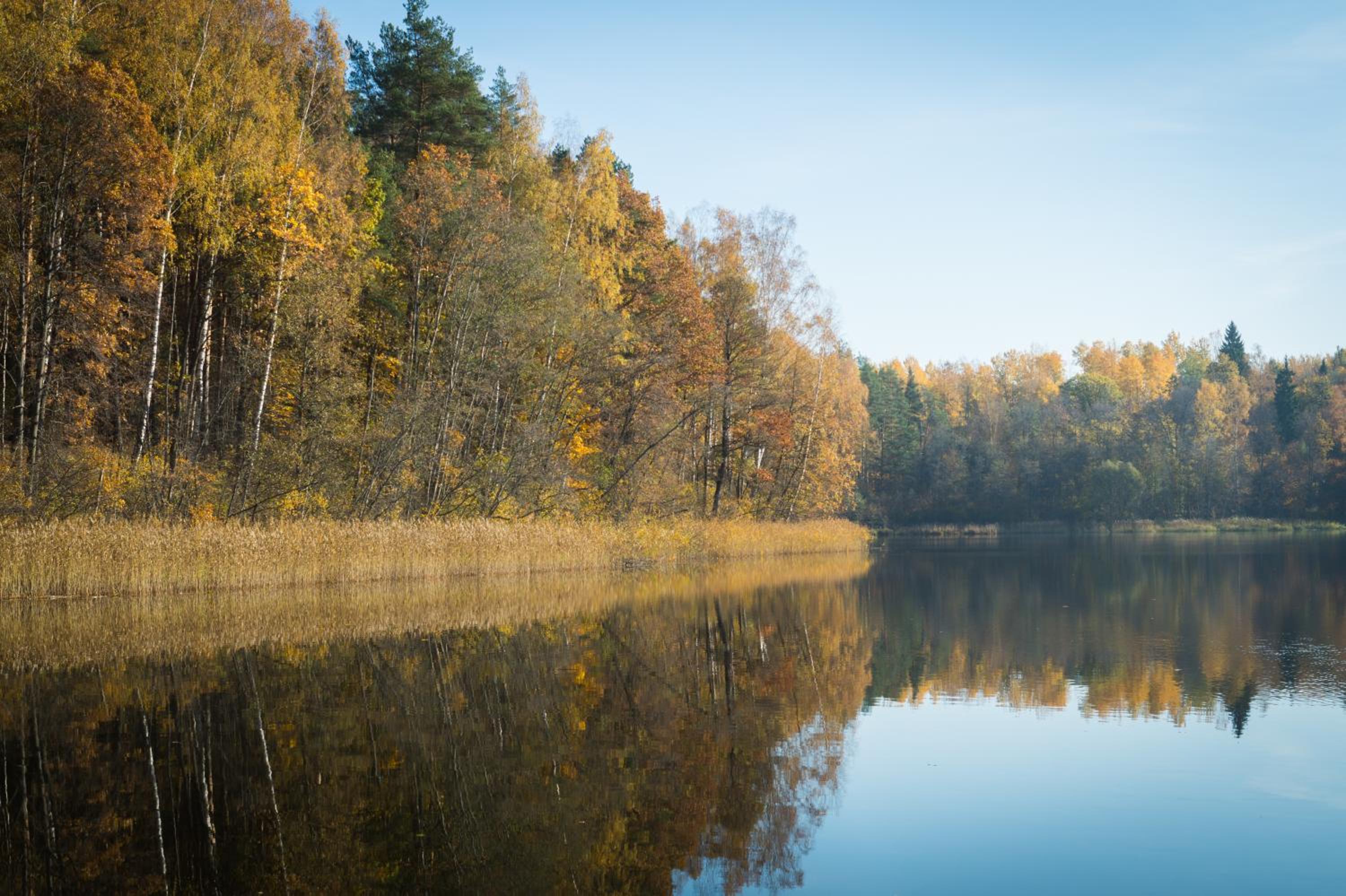 "Čiekuri" view 4