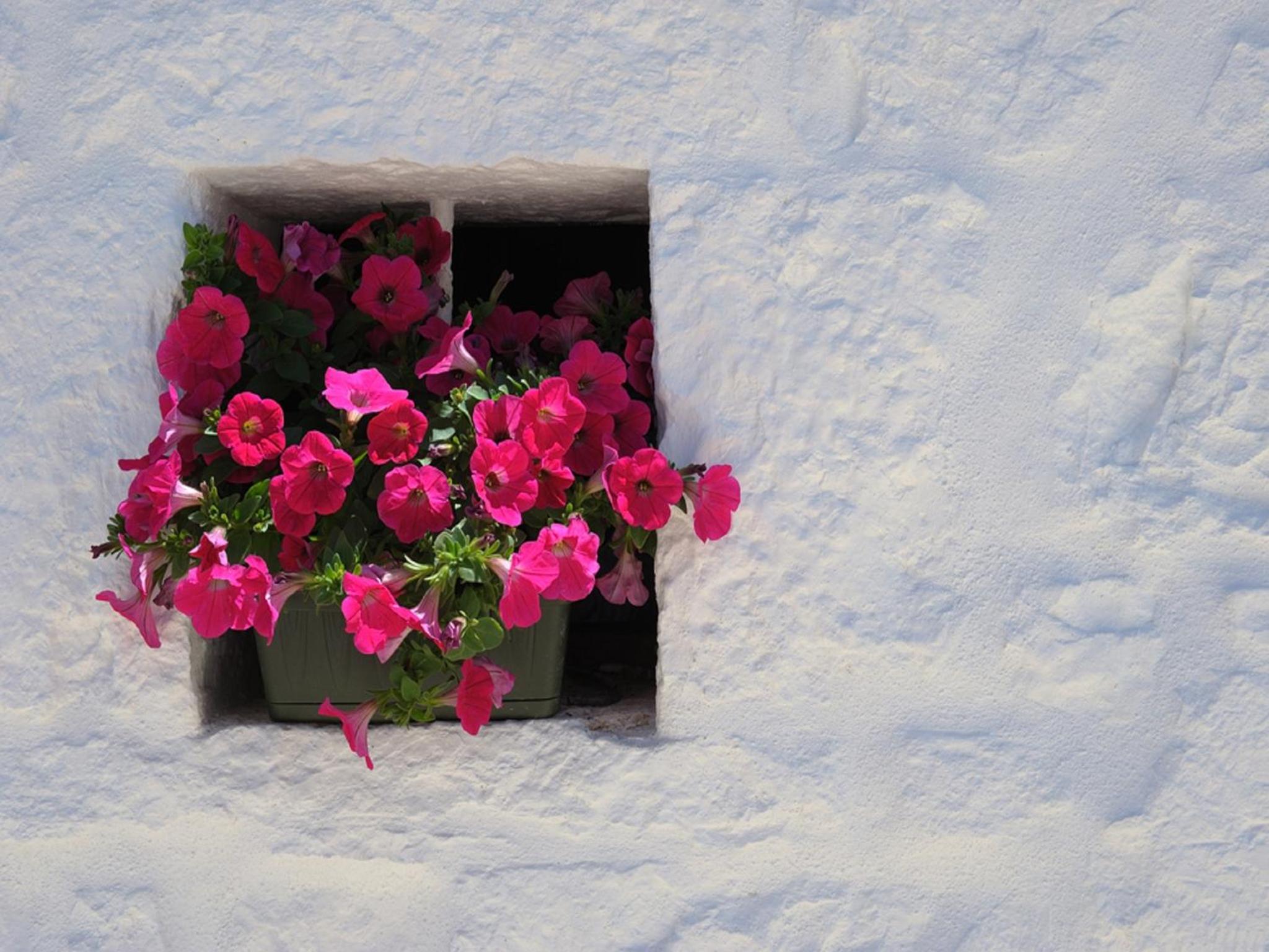 Romantic Trulli