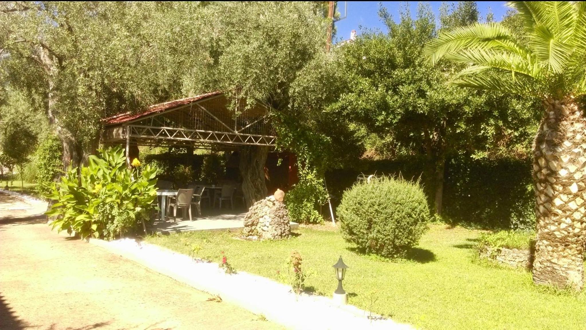 garden