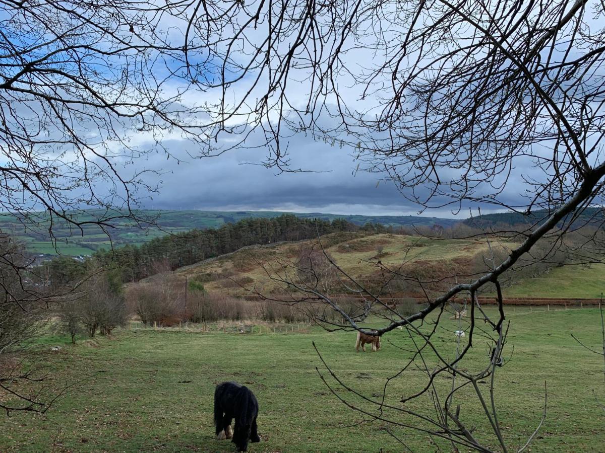 B&B Ty Cornel view 3
