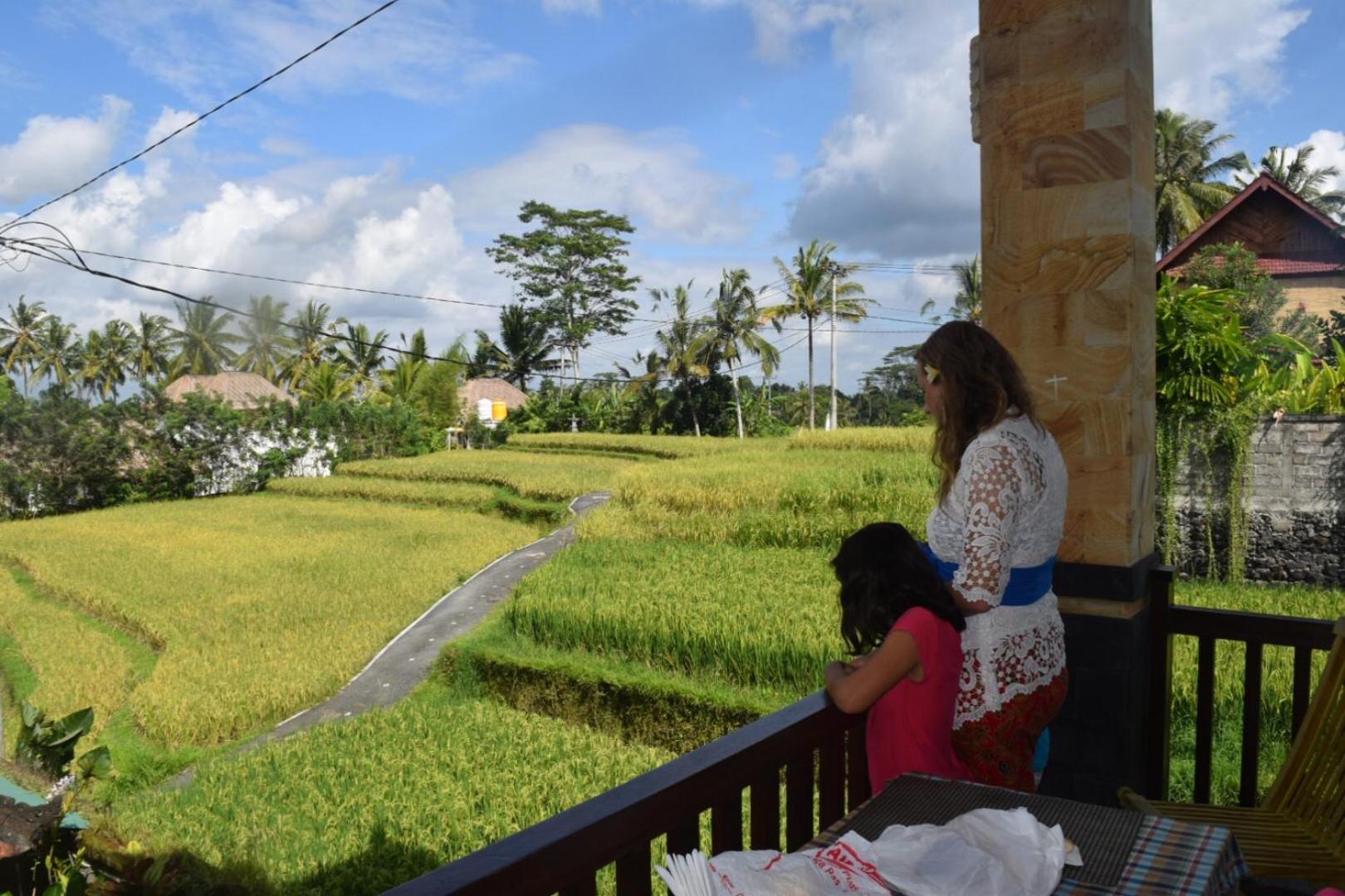 Ubud Sawah Scenery Villa and Homestay