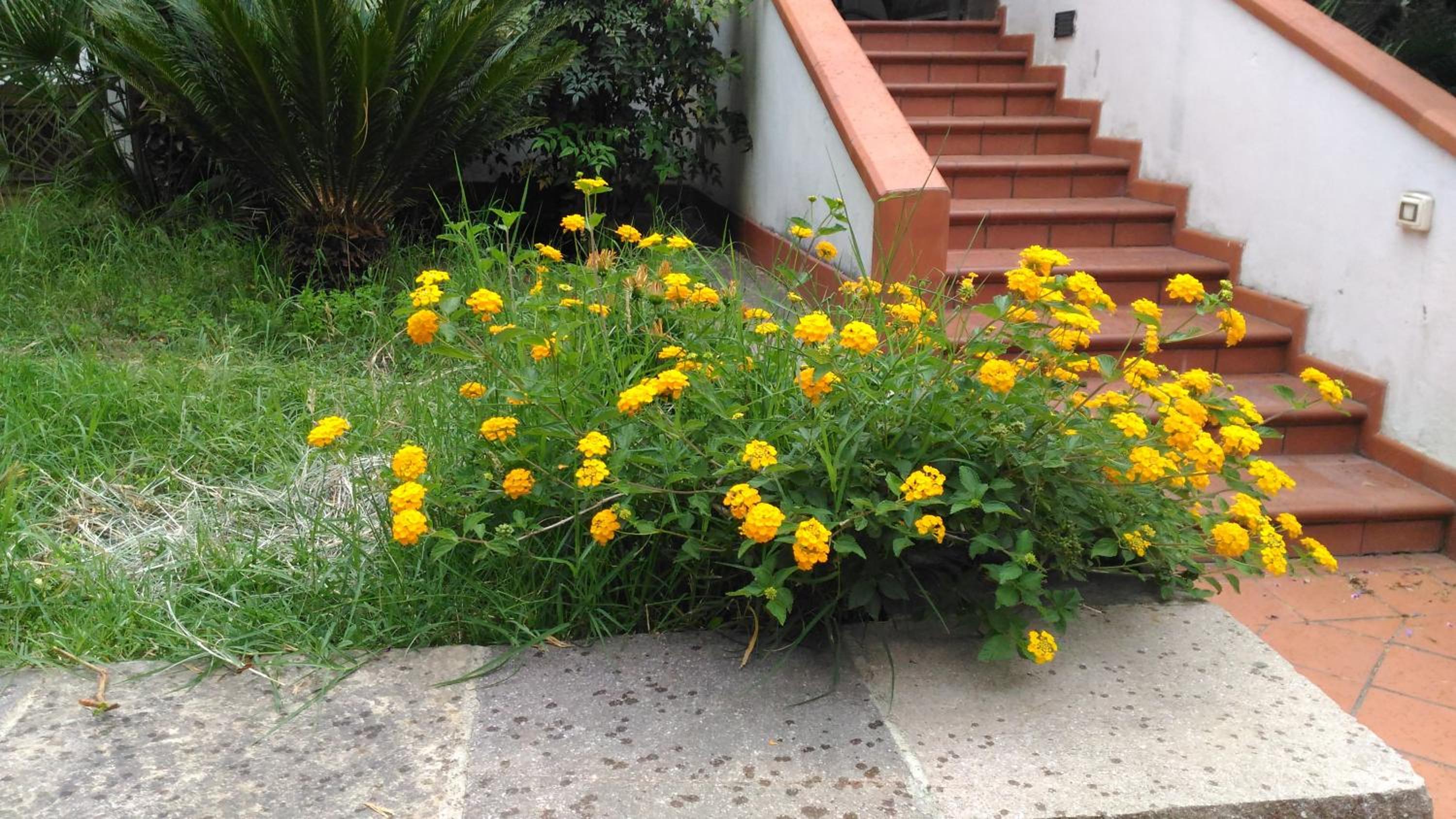 B&B Pian del Lago photo 5