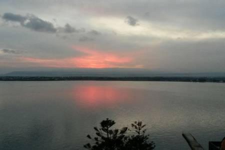 Photo 44