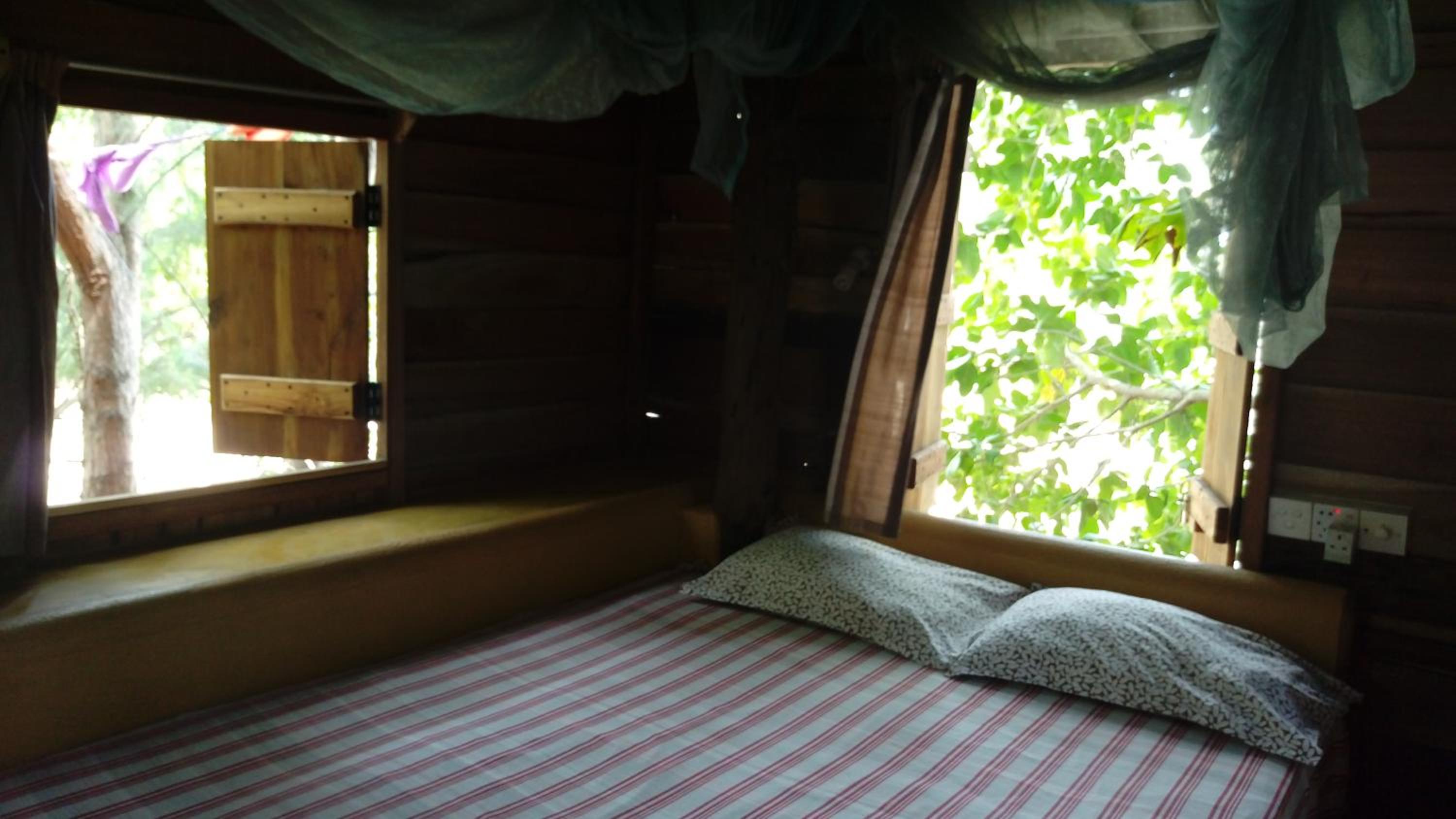 Photo 16