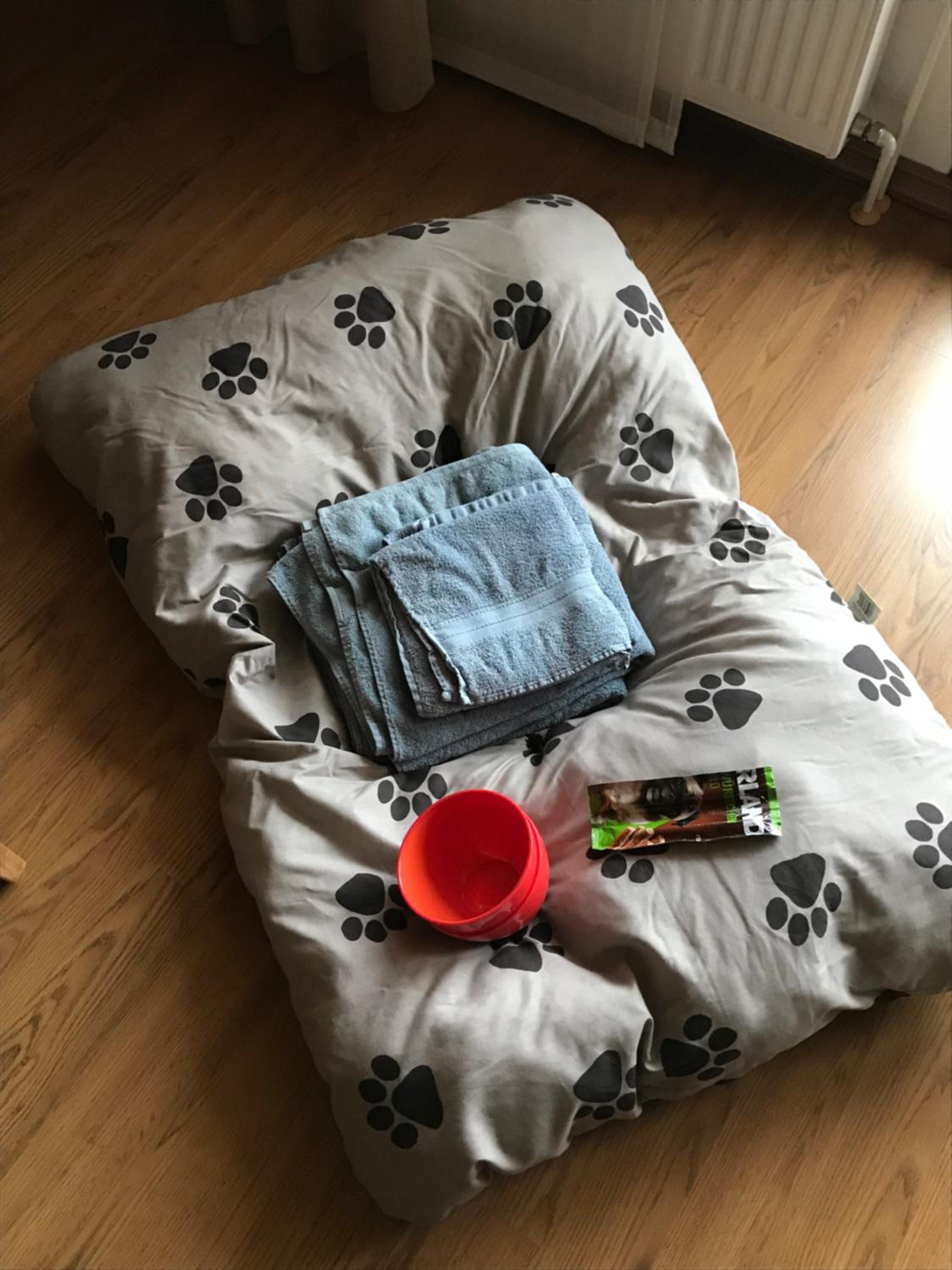 Photo 16