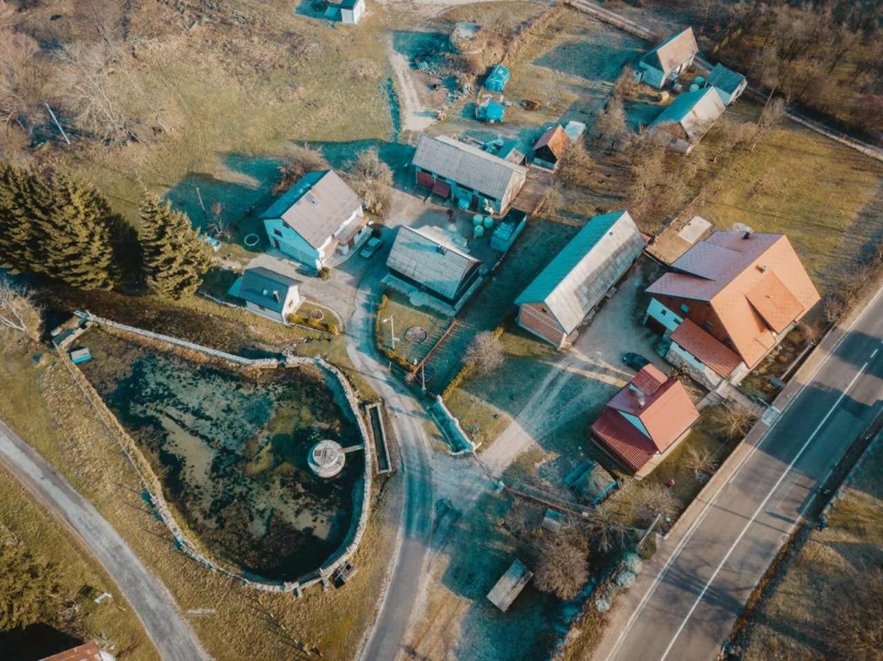 House Drakulić
