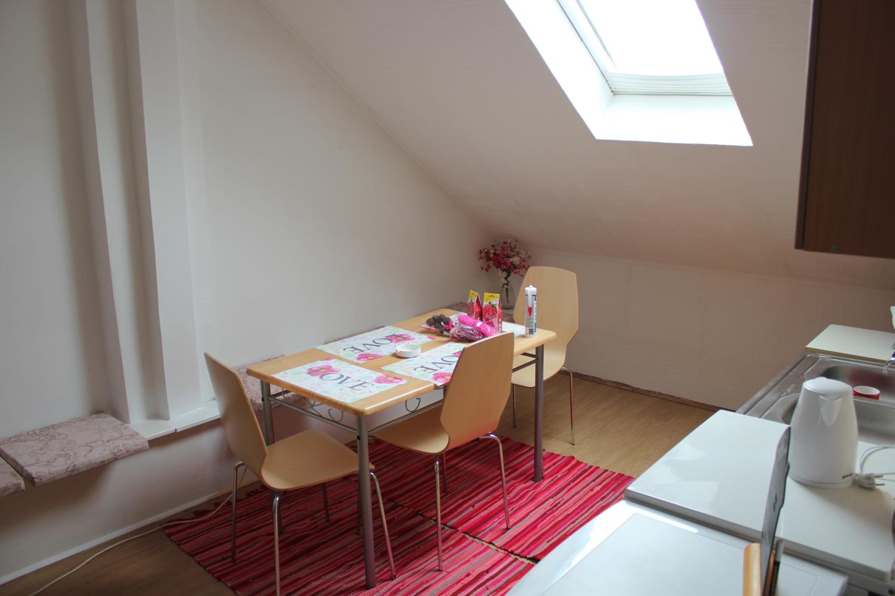 Cozy Apartment in heart of Sarajevo