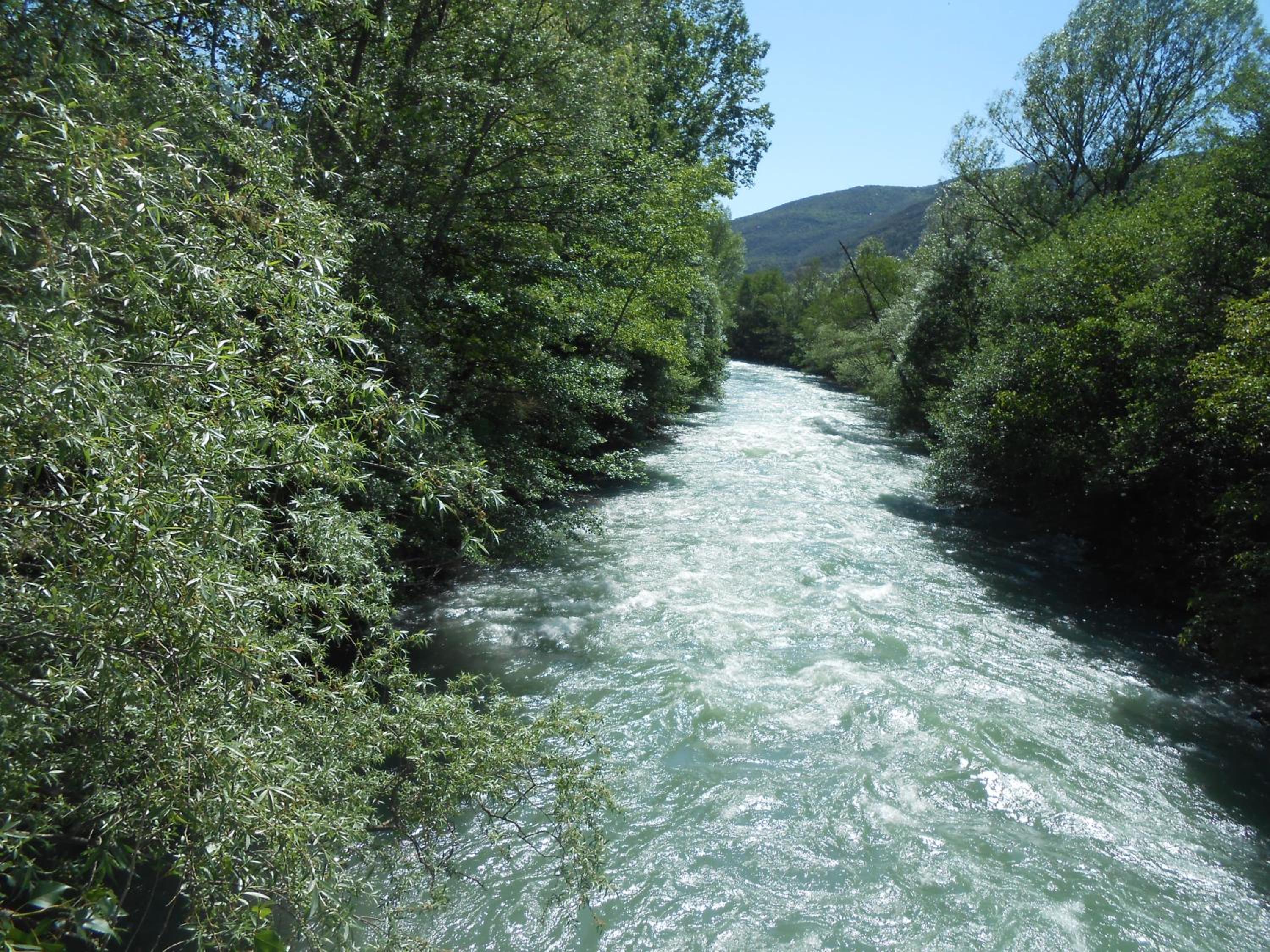 Photo 35