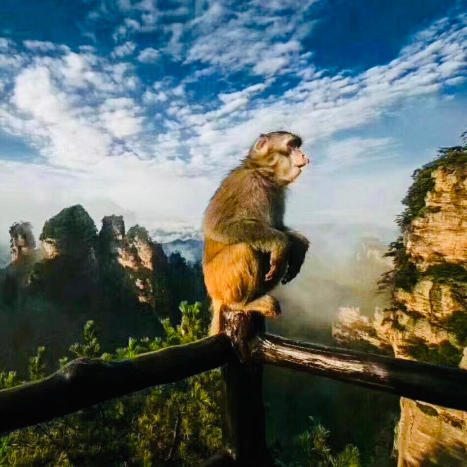 Tongfu Inn(In the National Park)