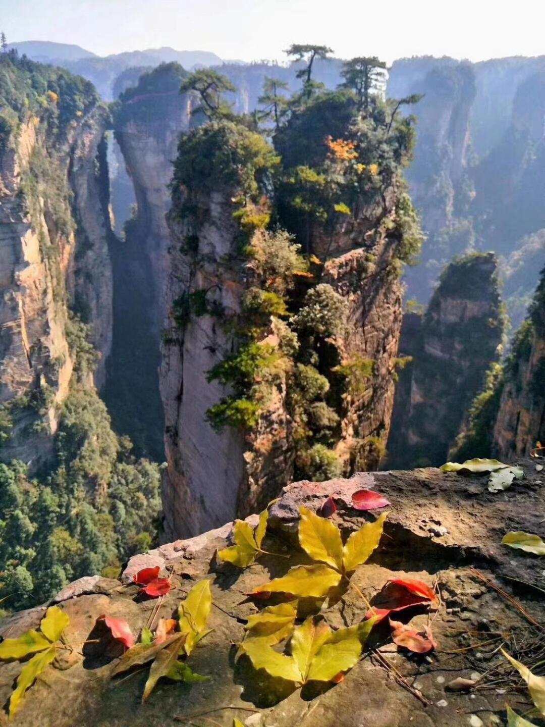 Tongfu Inn(In the National Park)