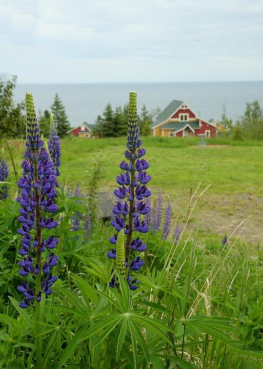 Cove Point Lodge